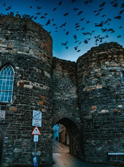 The medieval Lower Gate stone archway and circular towers in Conwy, North Wales. Dozens of dark birds are frozen in flight over the towers across a twilight sky. At the base of the left tower, a bilingual Welsh and English traffic sign reads "DIWEDD Parth / Zone ENDS". A glimpse of Lower Gate Street is visible through the dark stone archway.
