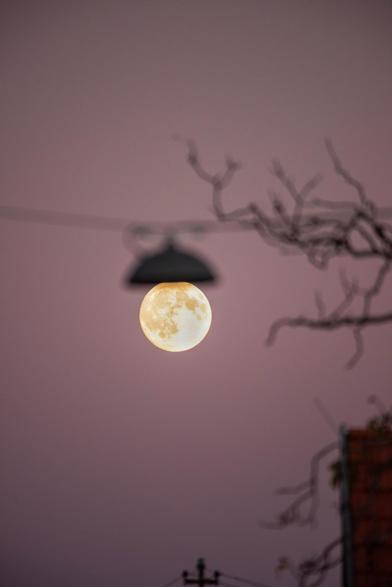 Am Abendhimmel steht der Vollmond im Fokus. Im Vordergrund über ihm unscharf die Silhouette einer Straßenlaterne.