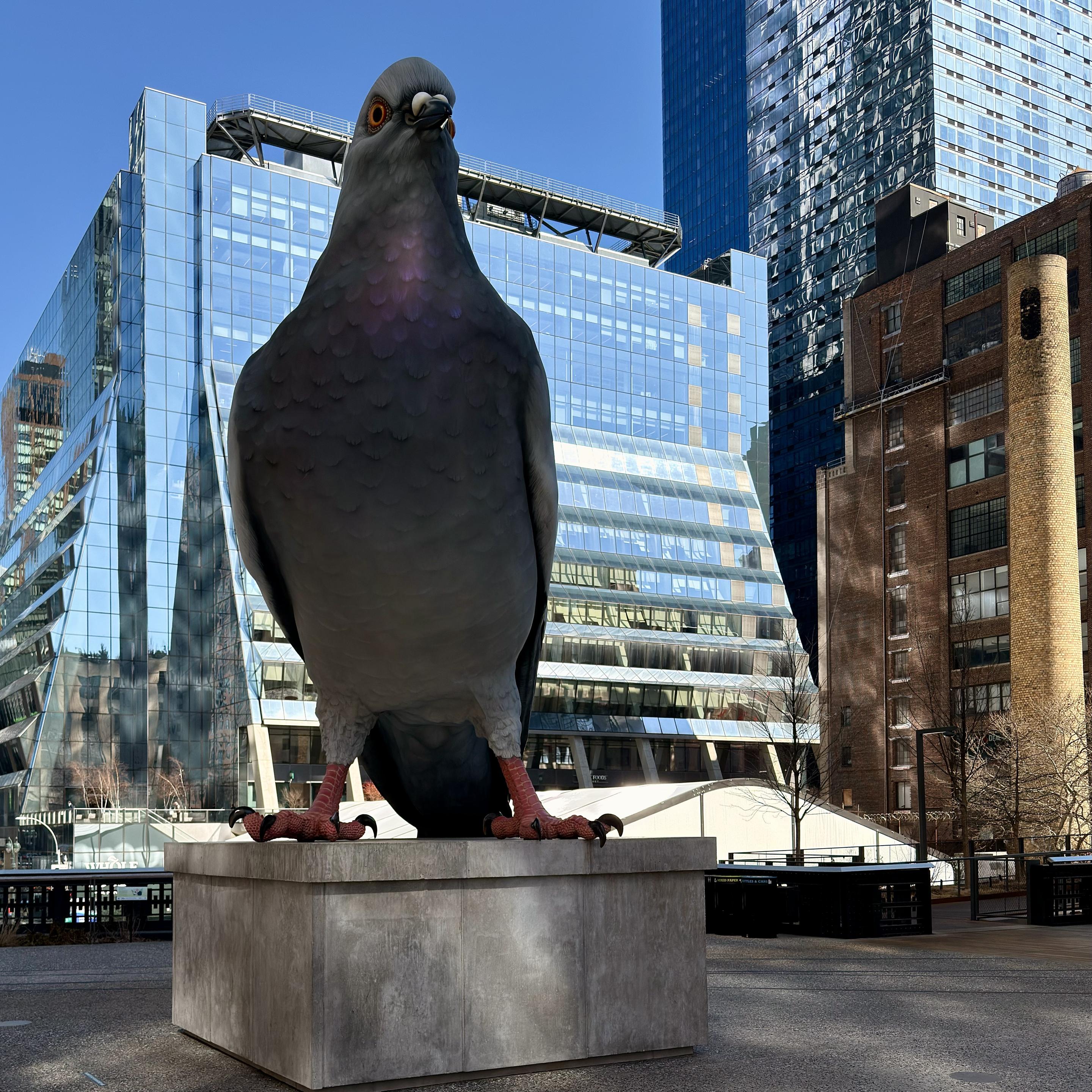A close-up, ground-level photograph of a large, realistic sculpture of a pigeon on the high line in Manhattan. The pigeon is a dark bluish-gray with iridescence on its neck and shoulders. It is standing on a rectangular, unpolished concrete plinth. The pigeon's head is tilted slightly forward, and its orange eyes are looking directly at the camera. The bird's red feet and claws are visible. In the background, behind the sculpture, there is an open plaza area with a few bare trees. Beyond the plaza are several modern buildings, including a large, glass-fronted building with a unique, angular facade that reflects the bright blue sky. To the right of the glass building is a tall, reddish-brick building with many windows, and a prominent cylindrical smokestack tower. The lighting is bright and even, casting minimal shadows, a clear day. The sky is a deep blue.