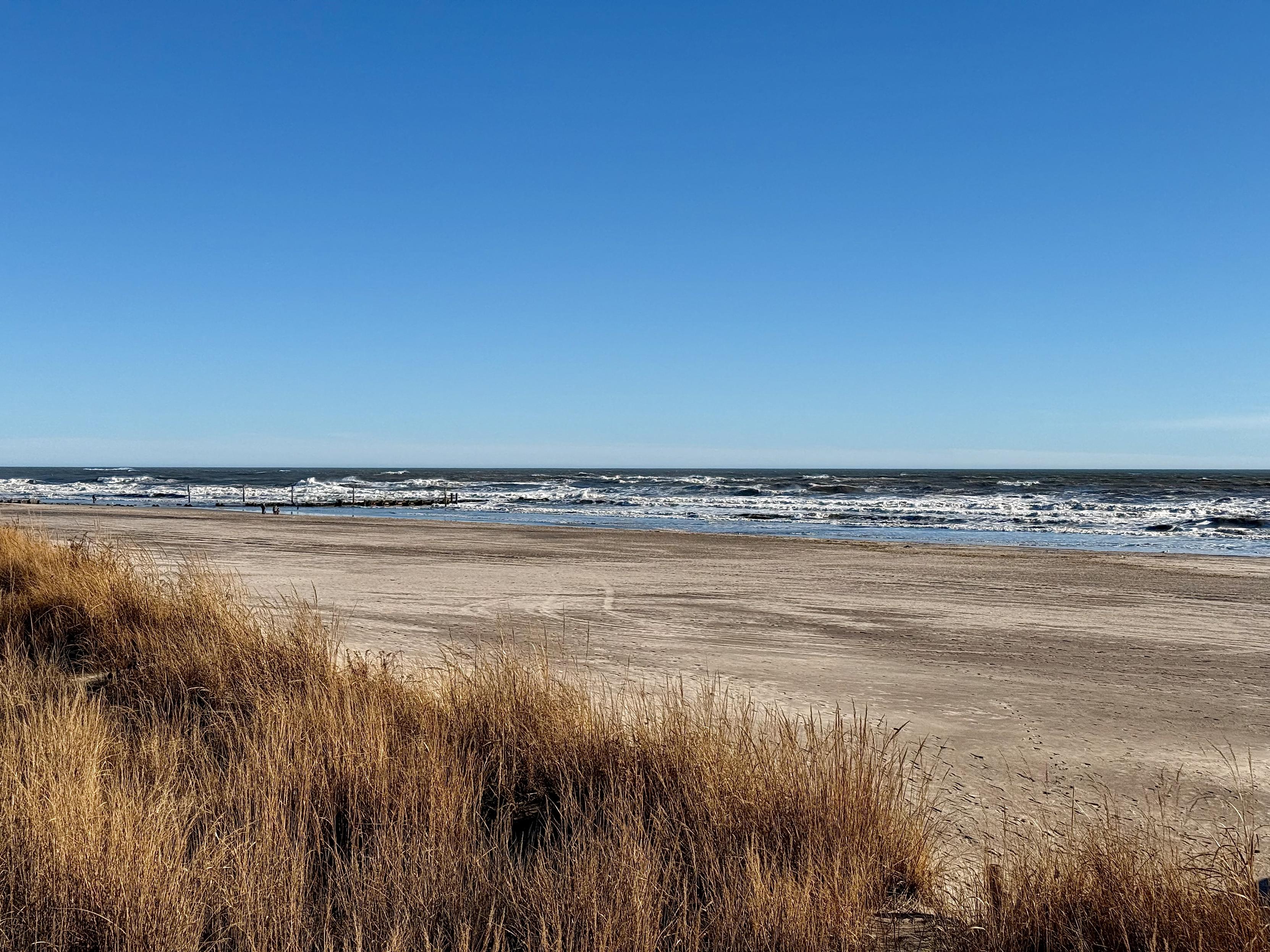 A color photograph taken midafternoon along the boardwalk in Atlantic City, New Jersey. The beach and ocean are the focal point of the image on a clear, sunny day. The sky is a brilliant blue color and the only clouds in the sky are small wisps barely visible on the horizon. In the foreground, a large patch of light brown beach grass fills and extends across the bottom of the frame. The middle ground is a wide, sandy beach that is light tan in color with tire tracks from an ATV and footprints visible. The ocean has rolling waves coming in from right to left. The water appears dark and waves are choppy from wind. In the distance on the left side, barely visible are two adults and a child who are standing next to the water.