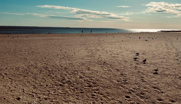 A color photograph in landscape aspect ratio. The eye-level shot captures the broad, sandy Brighton Beach during the late afternoon. The sky is a gradient of clear blue at the top, fading to a lighter, almost hazy blue closer to the horizon. Thin white clouds streak across the upper part of the sky. The beach itself is vast and stretches into the distance, covered in a light brown, fine-grained sand with many footprints visible in the foreground. The calm Atlantic Ocean dominates the top half of the image. The setting sun is not visible but is creating a shimmering reflection on the water on the right side of the frame. There are three people standing along the waterline, and numerous seagulls and other shorebirds dot the sand. They are mainly concentrated in the midground and foreground, with a small group of four birds standing out in the right foreground. A small boat is visible as a dark silhouette on the horizon. A rocky outcrop is visible on the far right where the water meets the shore. The overall mood of the scene is warm due to high contrast applied to the image.