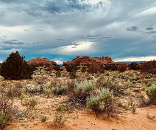 A color photograph, a landscape shot of a desert scene under a dramatic sky. The foreground is a sandy, reddish-brown terrain with various desert plants, shrubs, and grasses, including noticeable clumps of sagebrush. In the midground, there are two large, reddish-orange rock formations, with a dark, mesa in the far background. The sky is filled with a mix of dark, cloudy masses and brighter patches, with an approaching storm. The lighting is muted and overcast.