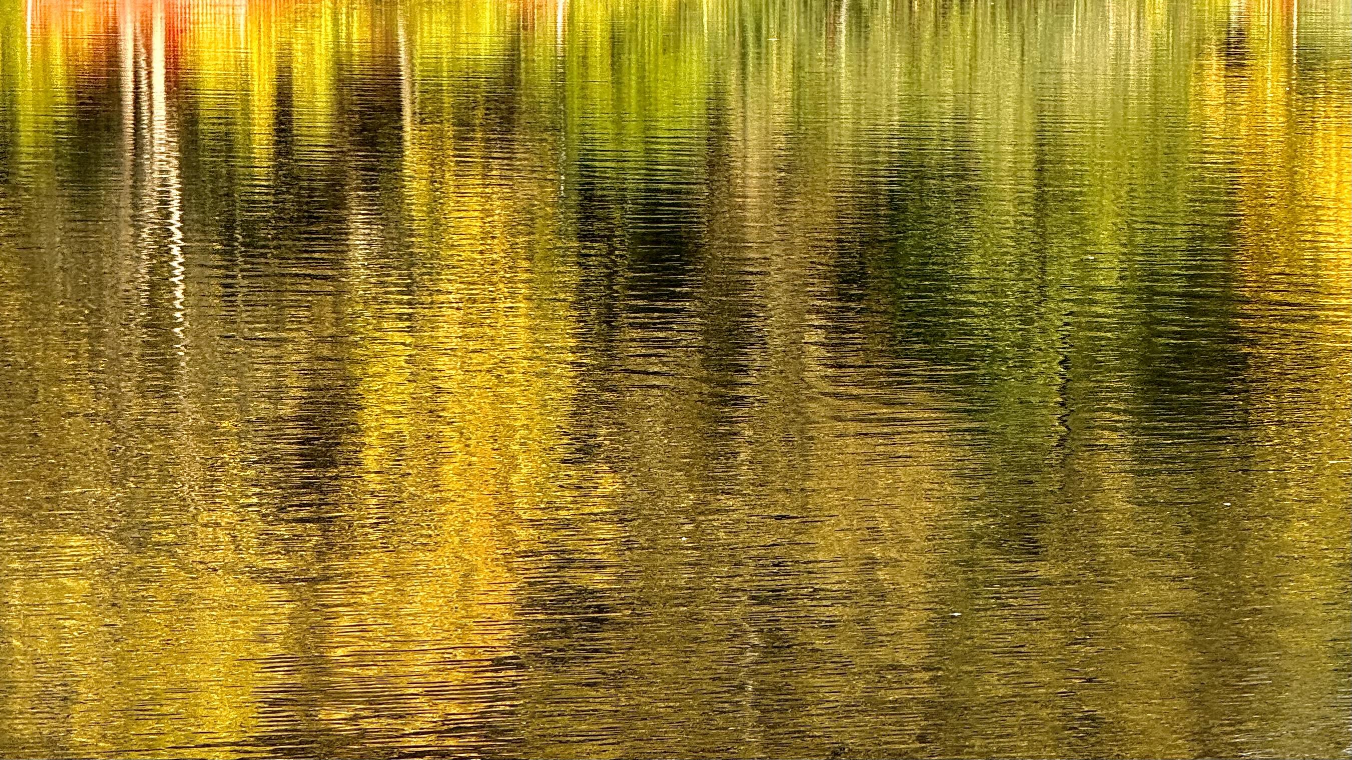 A color photograph of autumn tree reflections in the subtly rippling water of The Pond at Central Park. The entire frame is filled by the water's surface, acting as a dynamic canvas that distorts the foliage above into streaks of color and texture. Dominating the upper section are bands of muted green punctuated by bright flashes of yellow-gold and orange, while the lower portion deepens into rich golden tones. The continuous, small ripples on the water's surface stretch and break the reflected vertical shapes into a tapestry of horizontal wavy lines, creating a painterly effect that captures the serene liquid surface.