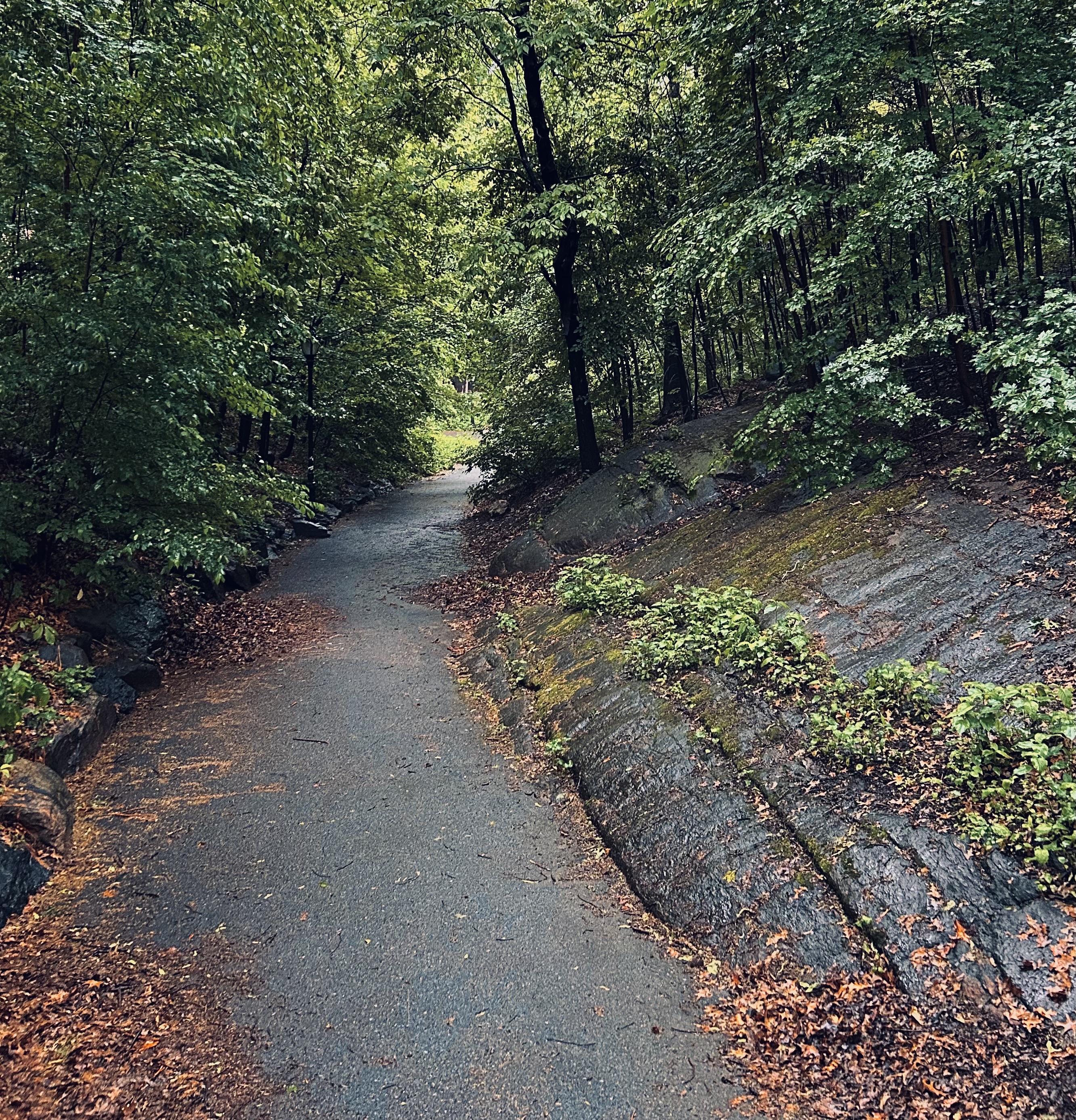 A color photograph of a paved, dark-gray footpath leading away from the camera through a heavily wooded area in the northwest section of Central Park on a spring morning. The scene is damp with recent light rain. The path is bordered on both sides by trees, and the foliage is dense and very green. To the immediate right of the path, there is a prominent, sloped rock outcropping. This dark, textured rock face is wet and covered in patches of bright green moss and small, vibrant green plants growing out of crevices. The rock's grain runs diagonally downward and to the left. The ground surrounding the path is scattered with brown and yellow fallen leaves, particularly in the foreground and along the edges. The light is diffused, giving the scene a soft, slightly moody atmosphere. The path recedes into a curve and is obscured by trees in the distance, and sunlight is breaking through to illuminate the far end of the path.