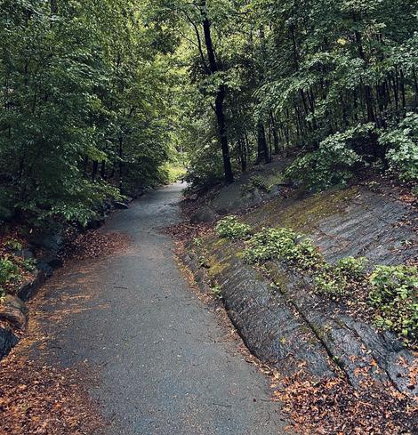 A color photograph of a paved, dark-gray footpath leading away from the camera through a heavily wooded area in the northwest section of Central Park on a spring morning. The scene is damp with recent light rain. The path is bordered on both sides by trees, and the foliage is dense and very green. To the immediate right of the path, there is a prominent, sloped rock outcropping. This dark, textured rock face is wet and covered in patches of bright green moss and small, vibrant green plants growing out of crevices. The rock's grain runs diagonally downward and to the left. The ground surrounding the path is scattered with brown and yellow fallen leaves, particularly in the foreground and along the edges. The light is diffused, giving the scene a soft, slightly moody atmosphere. The path recedes into a curve and is obscured by trees in the distance, and sunlight is breaking through to illuminate the far end of the path.