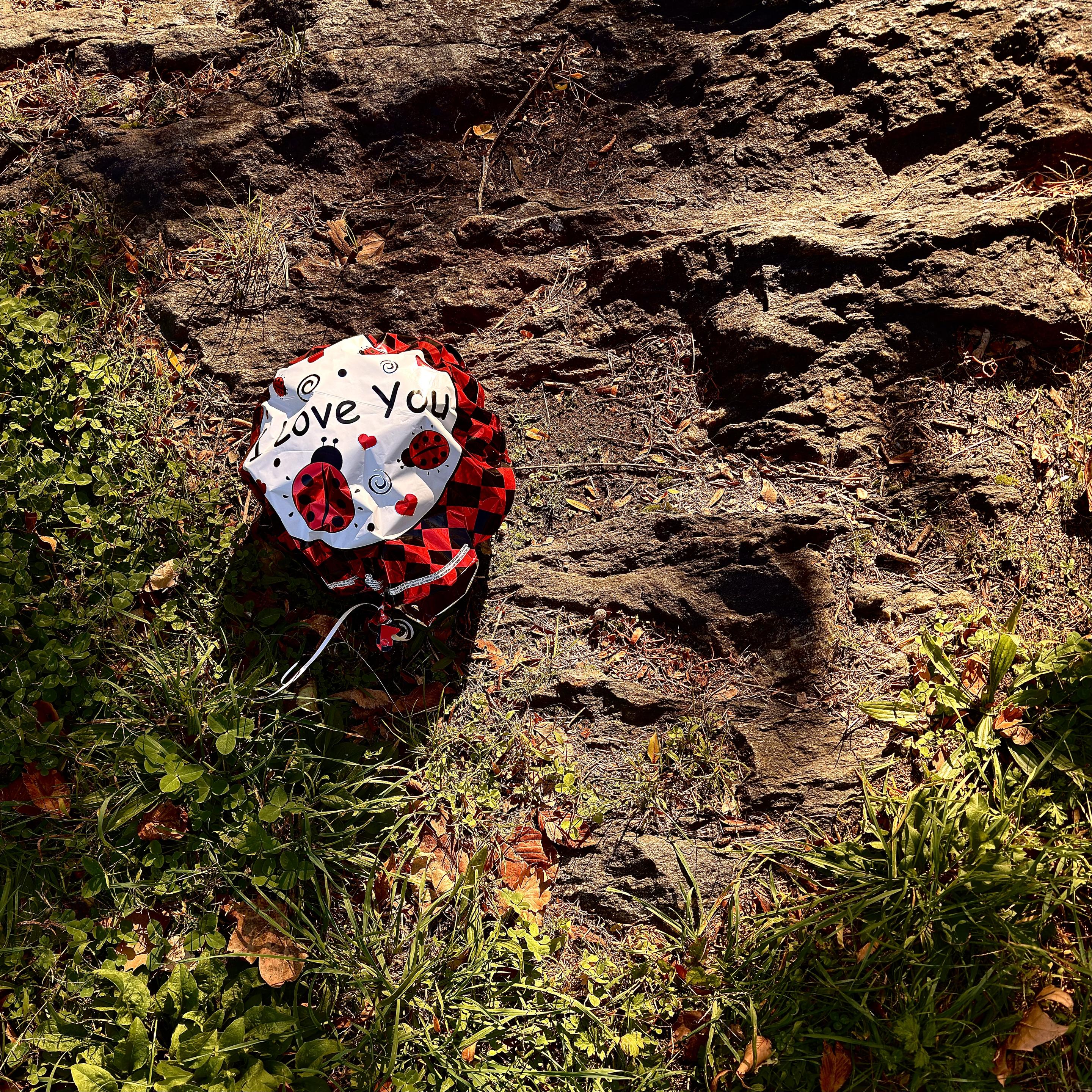 A color photograph in a square aspect ratio of a scene in Central Park off of Fifth Avenue on a partly cloudy morning in Manhattan. A slightly deflated foil balloon is lying on a patch of uneven ground, bordered by dark, stratified rock and patches of grass. The balloon's visible surface is white with a checkered pattern of black and red beneath lady bugs and red hearts, and a central message in black that reads, "I love You.” A thin white ribbon is visible, trailing from the bottom of the balloon. The scene is illuminated by strong sunlight from the upper right, casting a distinct, dark shadow of the balloon onto the rock and grass immediately to its right and below it.