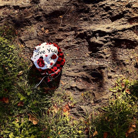 A color photograph in a square aspect ratio of a scene in Central Park off of Fifth Avenue on a partly cloudy morning in Manhattan. A slightly deflated foil balloon is lying on a patch of uneven ground, bordered by dark, stratified rock and patches of grass. The balloon's visible surface is white with a checkered pattern of black and red beneath lady bugs and red hearts, and a central message in black that reads, "I love You.” A thin white ribbon is visible, trailing from the bottom of the balloon. The scene is illuminated by strong sunlight from the upper right, casting a distinct, dark shadow of the balloon onto the rock and grass immediately to its right and below it.