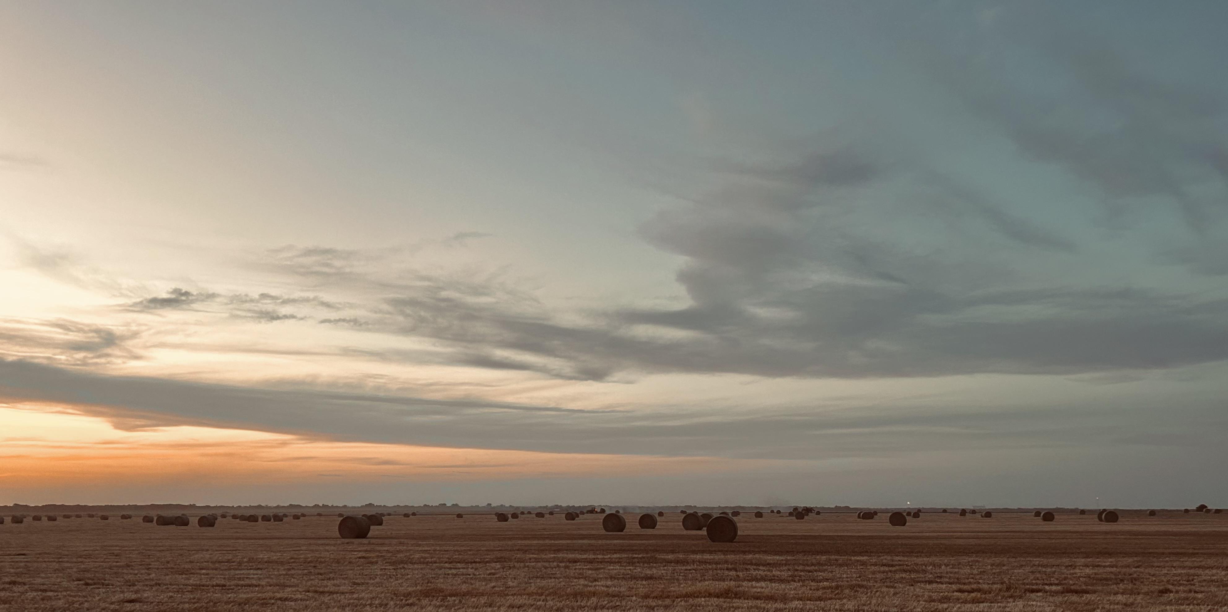 A color, wide-angle landscape photograph of a harvested wheat field, taken near sunset on a summer evening. The foreground is dominated by the dry, golden-brown stubble of the field, stretching to the horizon. Dozens of large, dark brown cylindrical hay bales are scattered across the vast field and recede into the distance in an irregular pattern. The low light of the setting sun highlights the texture of the dry field and casts subtle shadows under the bales. The sky occupies the upper two-thirds of the image and is a gradient of color typical of sunset. The light is warmest on the left side near the horizon, glowing with soft tones of orange and yellow. This warm color fades horizontally into pale blue in the upper right portion of the sky. Thin, wispy clouds stretch across the frame.
