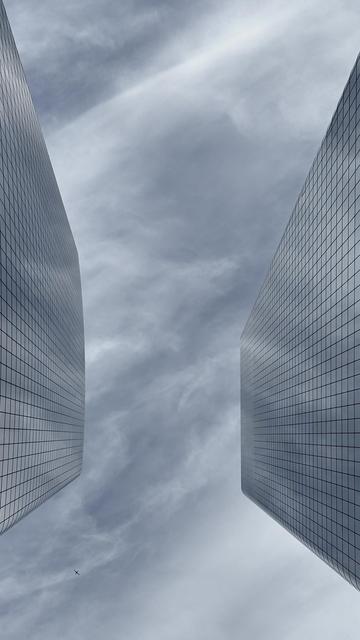 A color, high-contrast, desaturated, low-angle photograph looking straight up at the sky between two modern skyscrapers in the Hudson Yards neighborhood of Manhattan. The buildings symmetrically flank the frame, their glass curtain walls reflecting the muted, cloudy late Autumn afternoon sky above and creating a sense of immense verticality. The predominant colors are shades of gray and blue-gray. Near the bottom left corner, a commercial airplane is visible high up in the sky, adding a sense of scale and movement against the towering structures and the expanse of the sky.