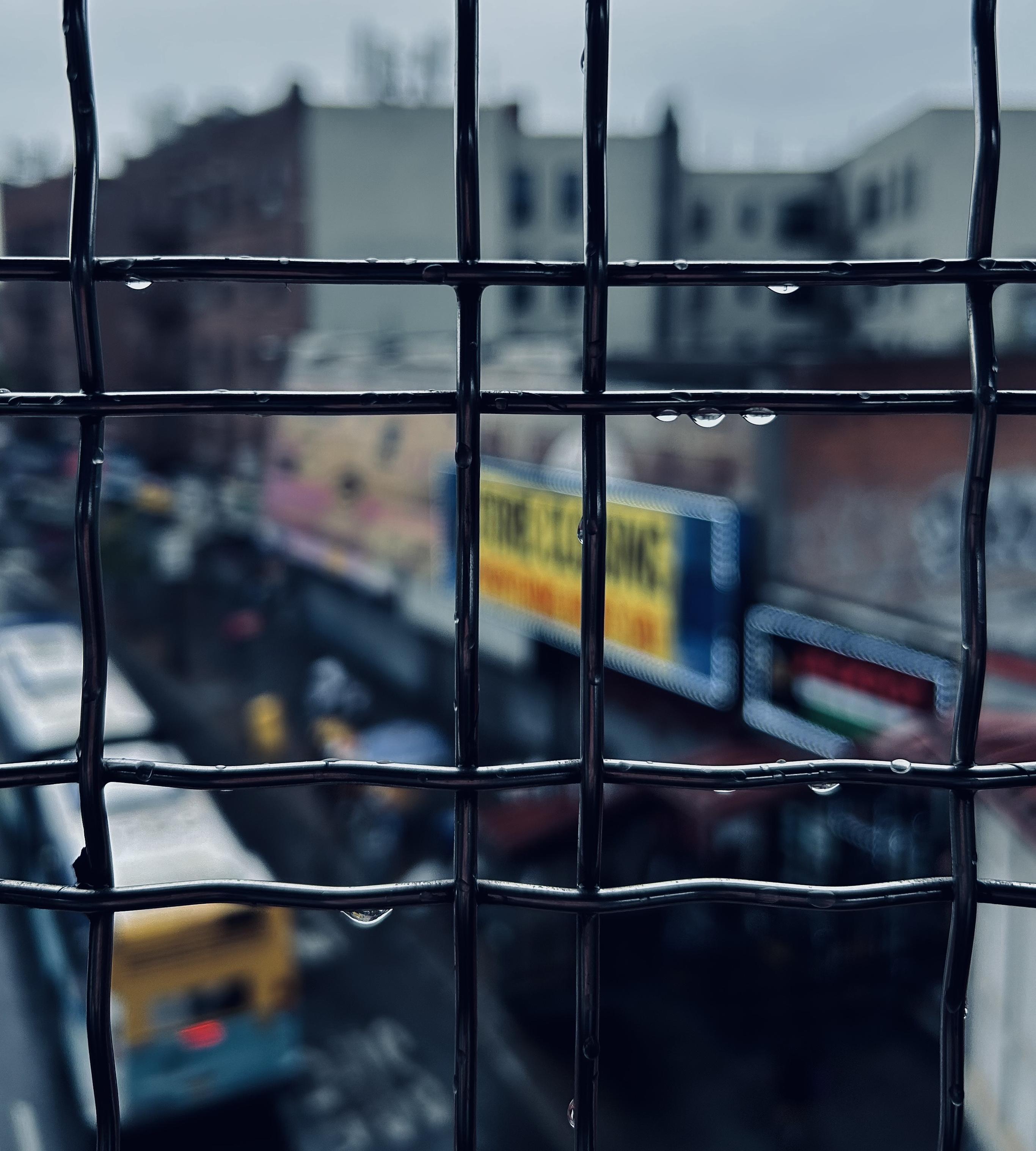 A color photograph, taken up-close and looking through a dark, grid-patterned metal fence that encloses a windowed view from the elevated train platform at Fordham Road Station in the Bronx. Tar scene is captured on a rainy day. The fence, which fills the foreground, is the sharpest element in the image, with several glistening water droplets clinging to the thick vertical and horizontal wires. This sharp foreground contrasts heavily with the soft, shallow depth of field in the background, which is blurred by the focus. The blurred background shows a street scene below and beyond. The left side features the top of a yellow and blue city bus a red tail light visible. On the right, a row of brick apartment buildings is visible behind a collection of large, brightly colored commercial signs atop stores along the street. The most prominent sign is a long, horizontal one with red, yellow, and blue text. This adds a pop of vibrant, blurry strokes of color to the otherwise muted, overcast palette of greys and browns. The overall mood is cool, damp, and urban.