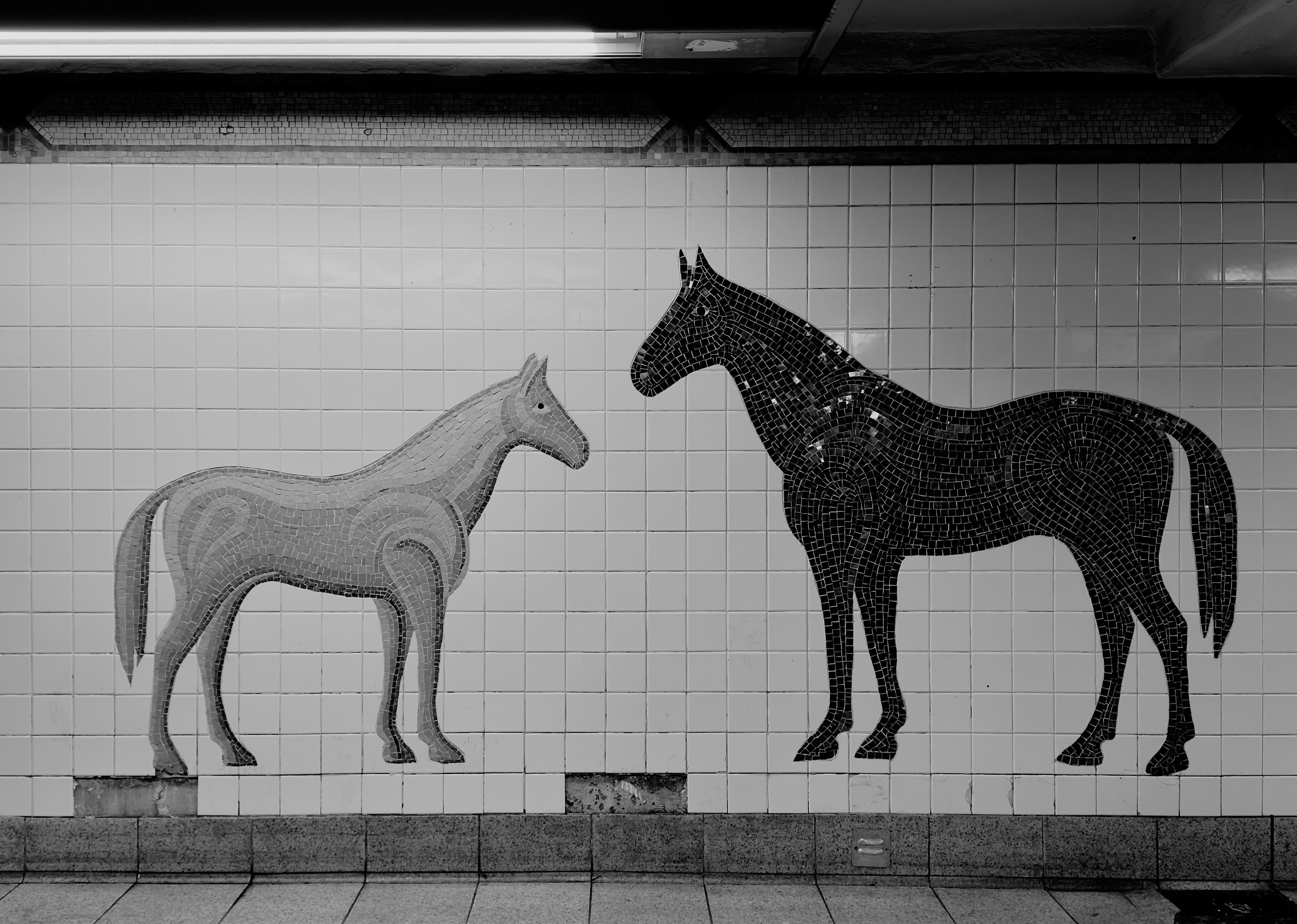 A noir photograph in landscape orientation that captures a tile mosaic mural located on the wall of an underground New York City subway station. The artwork, set against a backdrop of standard white rectangular subway tiles, features two horses facing each other across a small gap. The horse on the left is small, and rendered in lighter, medium-gray colored tiles, giving it a luminous appearance. The horse on the right is larger, and composed of dark, near-black tiles, creating a stark, silhouetted contrast against the white wall. Both horses are depicted in a classic profile stance. A damaged section of the white wall is visible beneath the horses and near the center of the image, showing exposed concrete behind the tiles. The mural extends across the width of the frame, positioned above a ledge, and is illuminated by overhead fluorescent lighting, a strip of which is visible at the very top of the image.