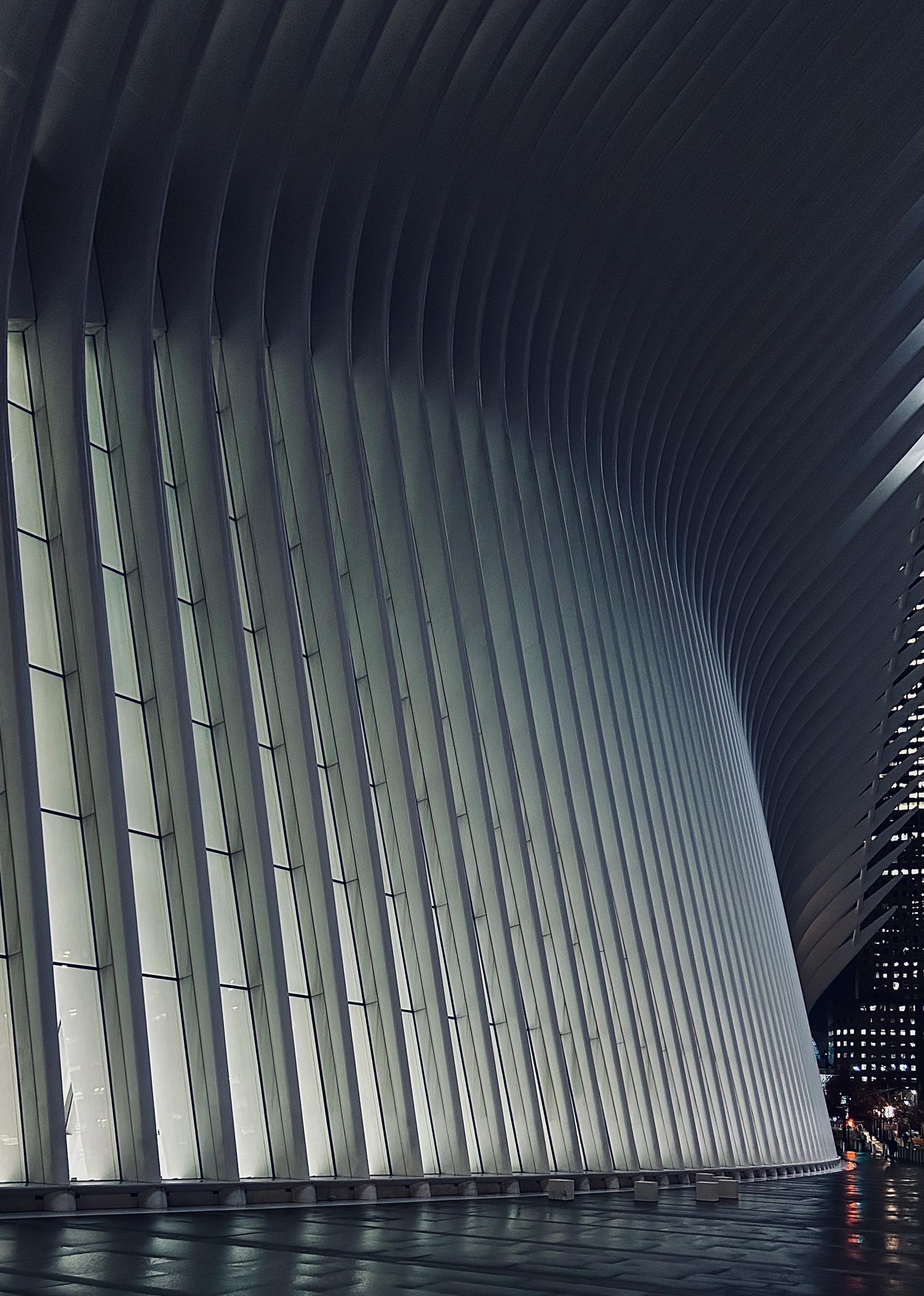 A color, low-angle photograph in portrait orientation that captures the ribbed architectural exterior of the Oculus transportation hub in Lower Manhattan on an overcast, dim early winter morning. The image is dominated by the curving, upward sweep of the structure's massive white aluminum fins, which create a repetitive pattern of light and shadow, suggesting the form of a skeletal wing. The vertical fins are illuminated from behind, casting a soft, cool, diffused white light that highlights their texture and the deep shadows between them. The lines converge toward the upper right corner, emphasizing the immense scale and dramatic design. The lower portion of the image shows the building resting on a dark, wet, reflective concrete plaza which mirrors the illumination of the structure above, adding a glassy sheen to the scene that reinforces the feeling of a cold environment. To the right of the central structure, the dark facade of the adjacent One World Trade Center skyscraper is visible, featuring a grid of small, brightly lit windows.