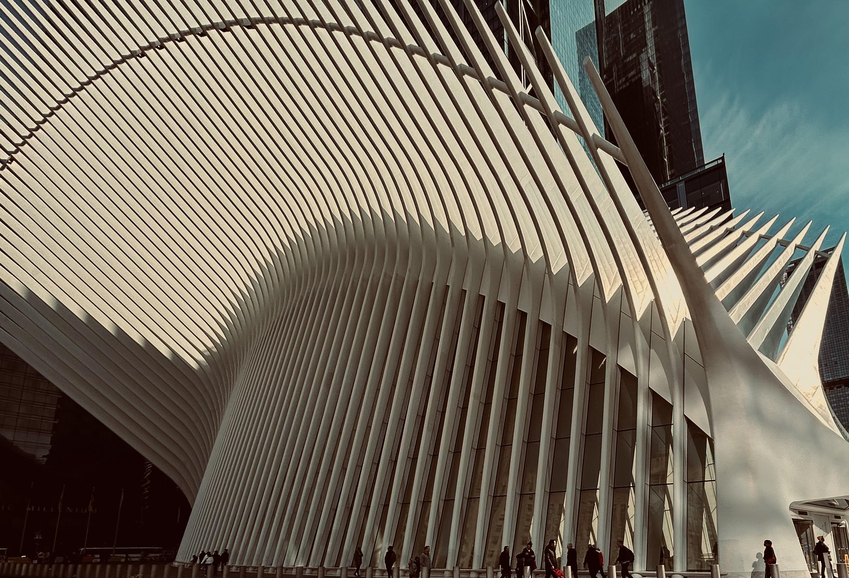 A color wide-angle photograph that captures the exterior of the Oculus at the World Trade Center near sunset. The scene shows its massive, white steel ribs curving upward like the wings of a skeletal bird. The structure dominates the frame, with the repetitive vertical and sweeping lines of the architecture creating a rhythmic, fan-like pattern against the sky. The late afternoon winter sun casts deep, dramatic shadows between the white beams, emphasizing the sharp angles and organic curves of the design. In the background, the glass facade of a neighboring skyscraper reflects the cool blue of the sky and the warm, golden glow of the setting sun. At the base of the structure, a line of small, dark figures of pedestrians walk along the sidewalk, their scale highlighting the size of the building.