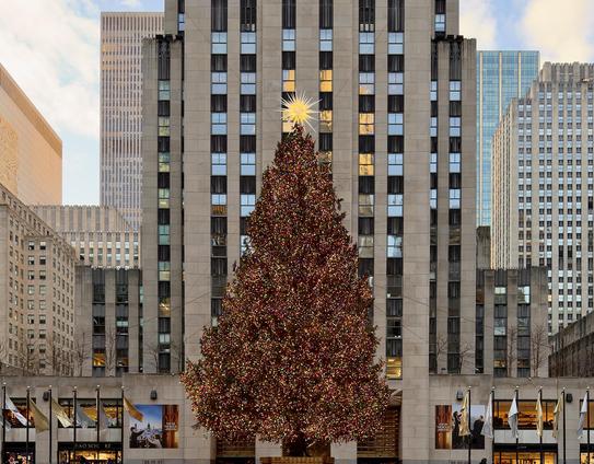 A color, HDR, wide-angle photograph in landscape orientation that captures the 2025 tree in Rockefeller Center in Midtown Manhattan during the golden hour before sunset. The extremely tall Norway spruce is a dense, symmetrical cone of deep green needles, completely draped in colored LED lights that glow with a soft, saturated warmth. At the very peak sits the 900-pound Swarovski star, its 70 crystal-covered spikes radiating a brilliant, white light that contrasts sharply against the darkening sky. The tree is positioned centrally in front of the iconic Art Deco facade of 30 Rockefeller Plaza, whose vertical limestone piers and dark windows create a rhythmic, striped backdrop that emphasizes the tree's massive scale. The lower portion of the image shows the base of the plaza, where gold and white flags flutter from poles lining the promenade. Banners for "Top of the Rock" and nearby shops like FAO Schwarz are visible at the street level. The lighting is soft and natural, with the warm, fading sunlight reflecting off the buildings surrounding the plaza.