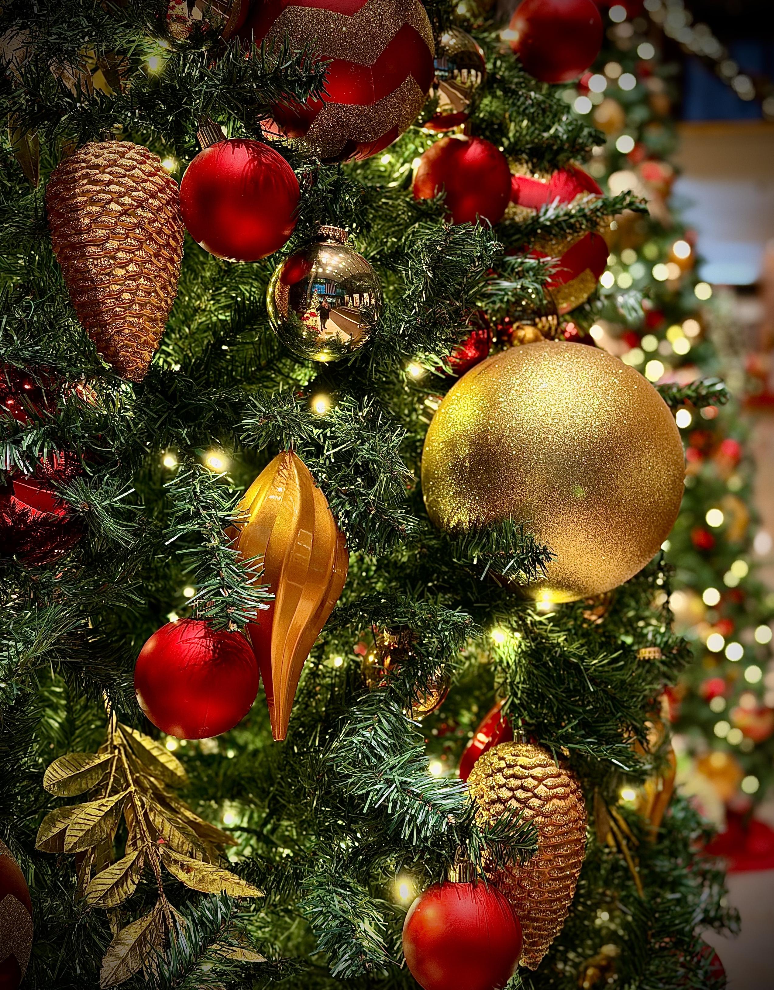 A color, close-up photograph in portrait orientation that captures an artificial tree that has been decorated for Christmas. The dense, uniform green needles are adorned with a variety of festive lights and ornaments. The primary color palette consists of shimmering golds and rich deep reds. Key decorations include matte and metallic red spherical baubles, a large textured gold glitter ball, and two gold and copper colored pinecone ornaments with intricate scale patterns. A prominent, elongated gold teardrop ornament with vertical ridges hangs near the center, while several golden artificial leaves are tucked into the branches. Small, warm white fairy lights are scattered throughout, casting a soft glow on the ornaments. The composition uses a shallow depth of field, keeping the ornaments in the immediate foreground in sharp focus while the background softly blurs into a bokeh of golden lights and additional tree branches. One polished gold ornament in the upper center acts as a mirror, reflecting a distorted view of the brightly lit hotel lobby and I am partially visible taking the photo wearing blue jeans, black dress shoes, a black hoodie, and winter cap. Both of my hands are holding onto a silver iPhone 17 Pro Max. The lighting is warm and directional, creating highlights on the smooth surfaces of the red baubles and a sparkling texture on the glittered elements.