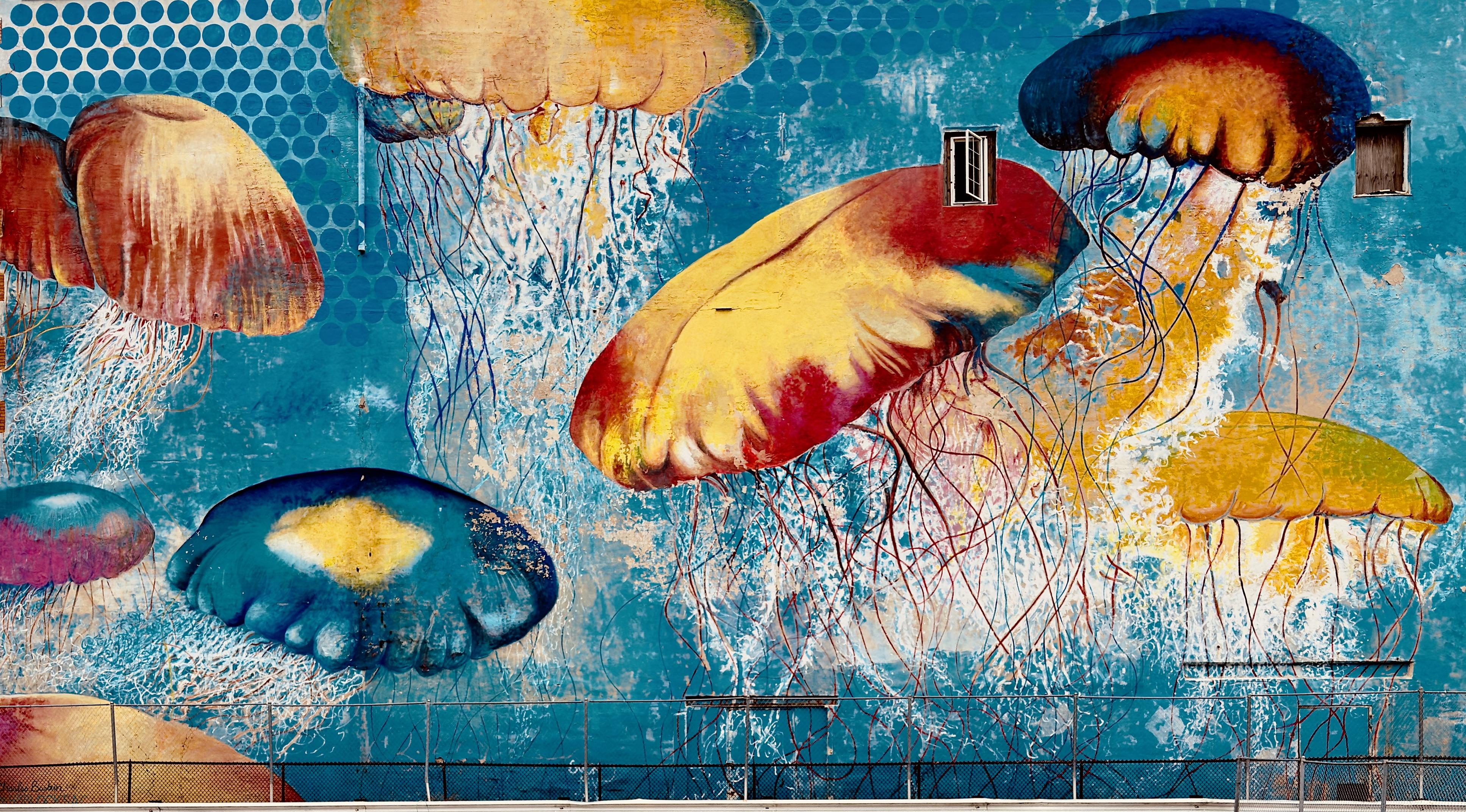 A color, wide-angle photograph in landscape orientation that captures a large-scale mural of stylized jellyfish covering the weathered side of a building next to a parking lot. The mural stretches across the wall in a textured blue background that mimics a deep ocean scene. The jellyfish are depicted in shades of golden yellow, fiery orange, and deep navy blue, with long, delicate, wire-like tentacles that trail downward and intertwine toward the bottom of the wall. Subtle patterns of light blue circles and dots are scattered across the background to suggested bubbles. The mural has a slightly distressed appearance, with patches of the underlying masonry showing through, giving the artwork a rustic, urban feel. Integrated into the mural’s composition are two small, rectangular windows located in the upper right part of the frame. The window on the left is open with white-painted frames, while the window further to the right is completely boarded up with dark wood. At the very bottom of the image, a chain-link fence runs along the base of the building, partially obscuring the lower trailing edges of the jellyfish tentacles.