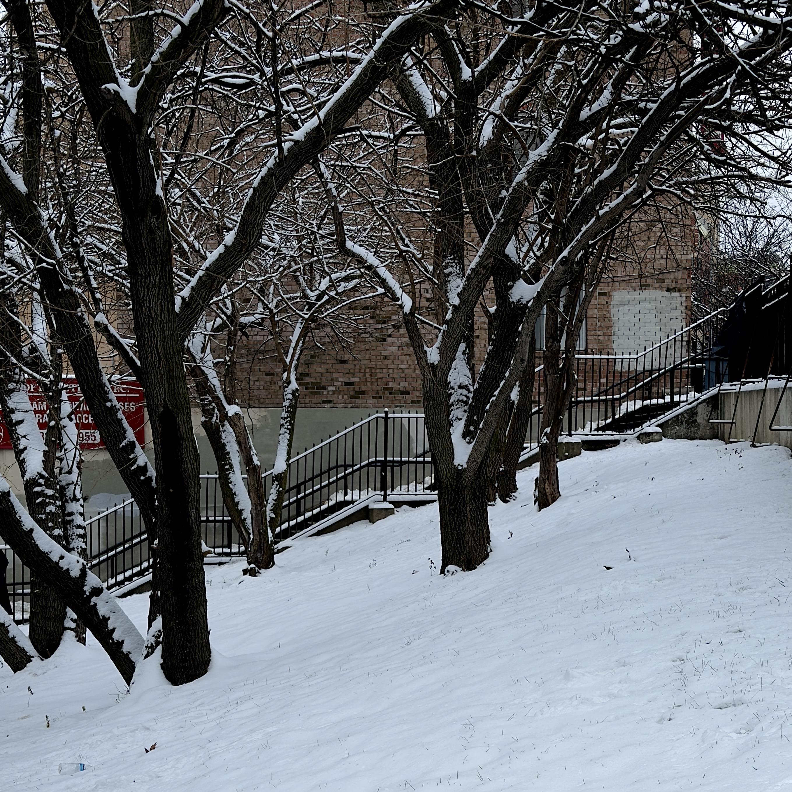 A color, medium-angle photograph in square aspect ratio that captures a cluster of snow-covered, dark-barked trees on a snowy hillside in Harlem. The trees, with their intricate network of bare branches, dominate the foreground and midground, their surfaces dusted with a thick layer of fresh, white snow. The snow also blankets the sloping ground, revealing small patches of grass poking through. In the lower-left corner, a discarded, empty plastic water bottle lies partially submerged in the snow. Behind the trees, a black wrought-iron fence runs along the perimeter of a brick building. A set of stone stairs leads up to a landing, their surfaces also covered in snow. The building's brickwork, in shades of brown and tan, provides a textured backdrop to the scene. A red sign with white lettering is partially visible on the left side of the image. The overall atmosphere is one of quiet stillness.