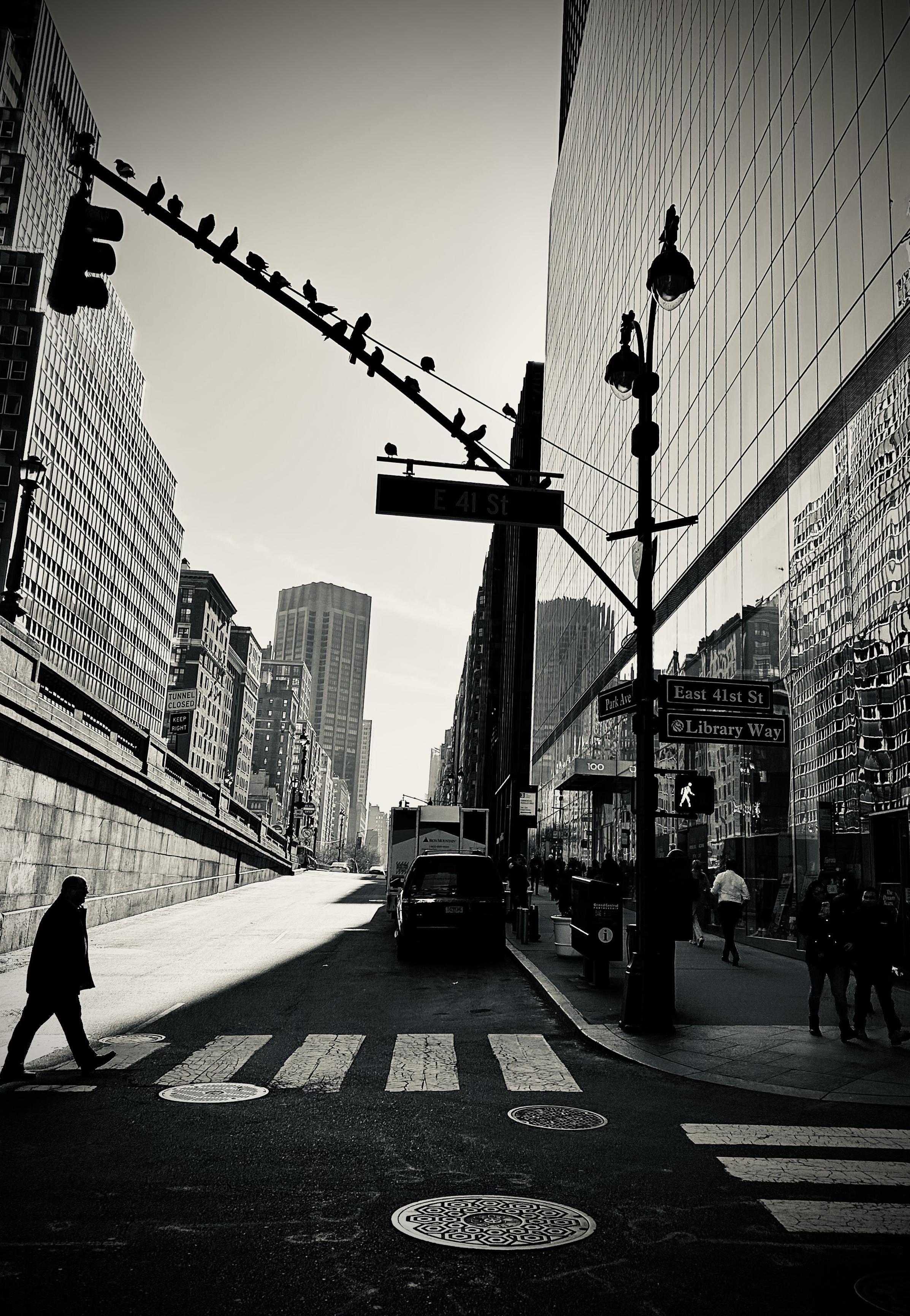 A noir photograph in portrait orientation captures the street scene on the corner of East 41st Street and Park Avenue in New York City. The perspective is from a low angle on the street, looking up toward the towering skyscrapers that frame the scene in a skewed off centered manner. In the foreground, a man in silhouette walks across a zebra-stripe crosswalk, his shadow stretching long across the pavement. To the right, a sleek, glass-walled building reflects the surrounding architecture, while a street sign clearly marks "Library Way" and "East 41st St." A notable detail is a long line of birds perched evenly across the diagonal arm of a traffic light pole, appearing like musical notes on a staff against the bright sky. The composition is defined by dramatic lighting, with deep, ink-black shadows contrasting against bright, sunlit surfaces. A sharp diagonal shadow cuts across the road, leading the eye from the bottom left toward the center of the image where a dark SUV is parked. Pedestrians are scattered along the sidewalk to the right, their figures blurred or silhouetted, adding a sense of movement to the urban environment. The background reveals a receding vista of classic New York architecture, including the distant silhouette of a skyscraper under a clear, pale sky. The overall mood is cinematic and timeless, emphasizing the scale and geometric patterns of the city.