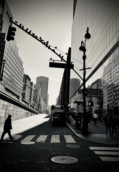 A noir photograph in portrait orientation captures the street scene on the corner of East 41st Street and Park Avenue in New York City. The perspective is from a low angle on the street, looking up toward the towering skyscrapers that frame the scene in a skewed off centered manner. In the foreground, a man in silhouette walks across a zebra-stripe crosswalk, his shadow stretching long across the pavement. To the right, a sleek, glass-walled building reflects the surrounding architecture, while a street sign clearly marks "Library Way" and "East 41st St." A notable detail is a long line of birds perched evenly across the diagonal arm of a traffic light pole, appearing like musical notes on a staff against the bright sky. The composition is defined by dramatic lighting, with deep, ink-black shadows contrasting against bright, sunlit surfaces. A sharp diagonal shadow cuts across the road, leading the eye from the bottom left toward the center of the image where a dark SUV is parked. Pedestrians are scattered along the sidewalk to the right, their figures blurred or silhouetted, adding a sense of movement to the urban environment. The background reveals a receding vista of classic New York architecture, including the distant silhouette of a skyscraper under a clear, pale sky. The overall mood is cinematic and timeless, emphasizing the scale and geometric patterns of the city.