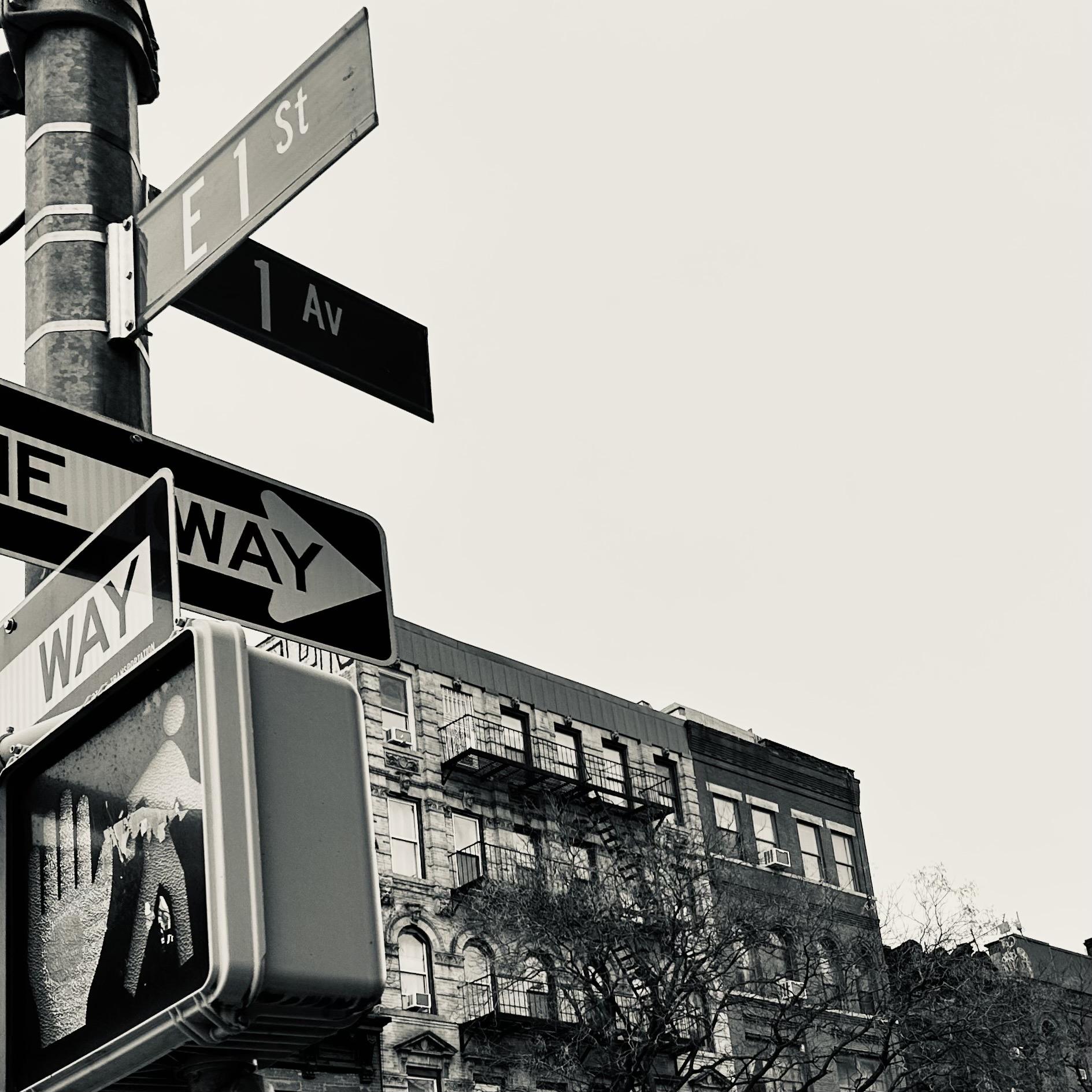 A noir, low-angle photograph in square aspect ratio that captures the urban landscape at the intersection of East 1st Street and 1st Avenue in the East Village neighborhood of Manhattan. In the immediate foreground, a metal utility pole holds a cluster of street signs and traffic signals. A street sign labeled "E 1 St" points toward the upper right, while another sign for "1 Av" sits just below it. Two "ONE WAY" signs with bold directional arrows point toward the left and right, partially overlapping a pedestrian "Don't Walk" signal box. The background features the upper stories of classic New York City tenement buildings. The architecture is characterized by dark masonry, rows of rectangular windows, and prominent black metal fire escapes zigzagging across the facades. Bare, spindly winter tree branches reach upward from the sidewalk level, partially obscuring the lower windows. The sky is a flat, bright grey, providing a stark contrast to the dark, detailed silhouettes of the buildings and the sharp lines of the foreground street signs.