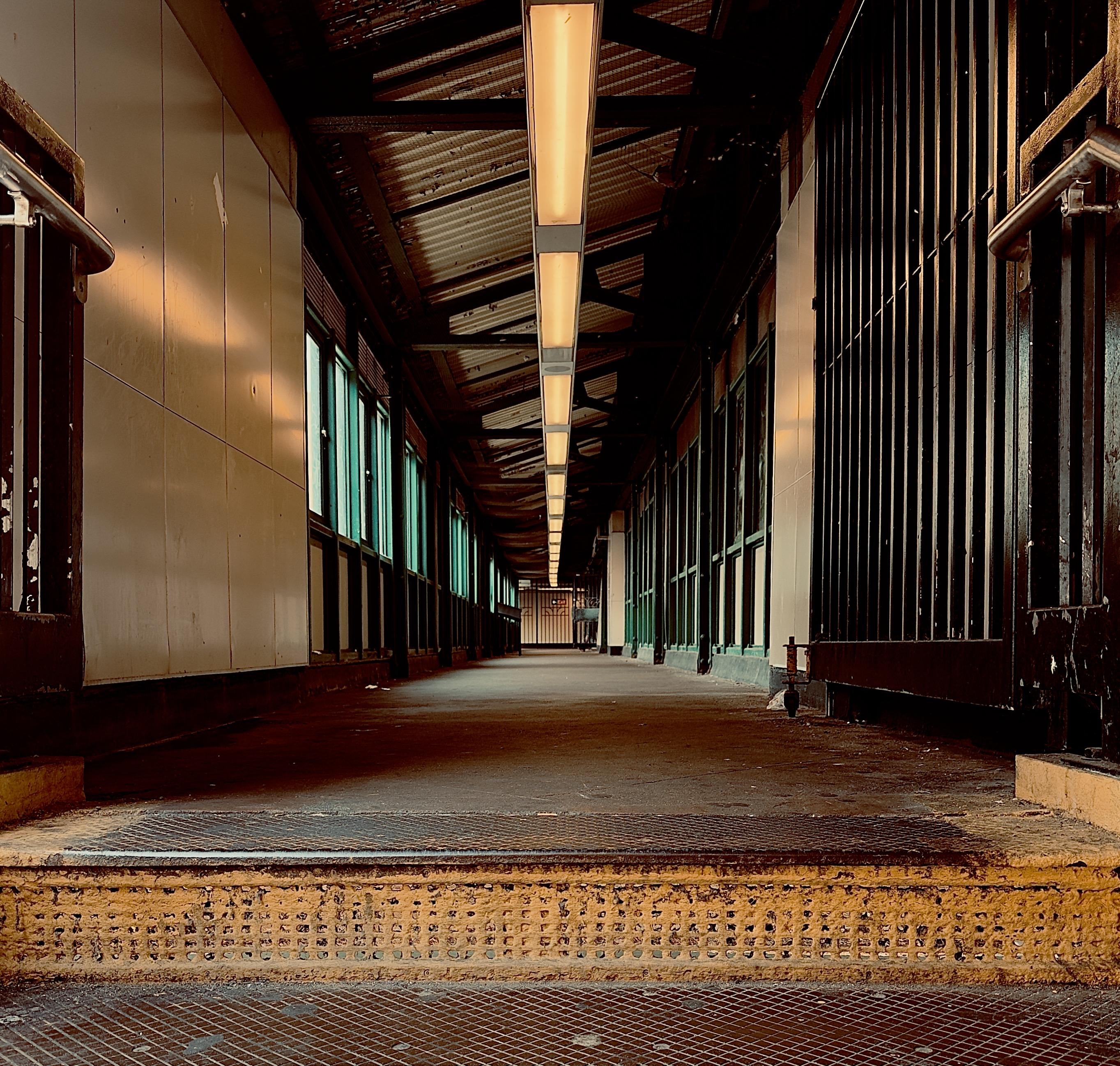 A color photograph in square aspect ratio that captures a long, dimly lit pedestrian walkway overpass at the Fordham Road subway station the Bronx. The perspective is taken from a low angle at the top of a set of stairs, looking down a narrow corridor that stretches into the distance over Fordham Road. In the foreground, the textured, yellow-painted edge of a concrete step is visible, featuring a perforated metal safety grip. Above, a single, continuous fluorescent light fixture runs down the center of the dark, industrial ceiling, casting a warm, amber glow on the floor and walls while leaving the upper corners in deep shadow. The sides of the walkway are lined with a series of windows framed in dark green metal, though the view outside is obscured there is afternoon light shining onto the walkway. On the right, a heavy black metal gate stands partially open. The walls are a mix of off-white paneling and dark structural elements, showing signs of age and wear. The overall mood is quiet and somewhat cavernous, emphasized by the receding lines of the architecture and the high-contrast lighting that creates a dramatic tunnel effect.