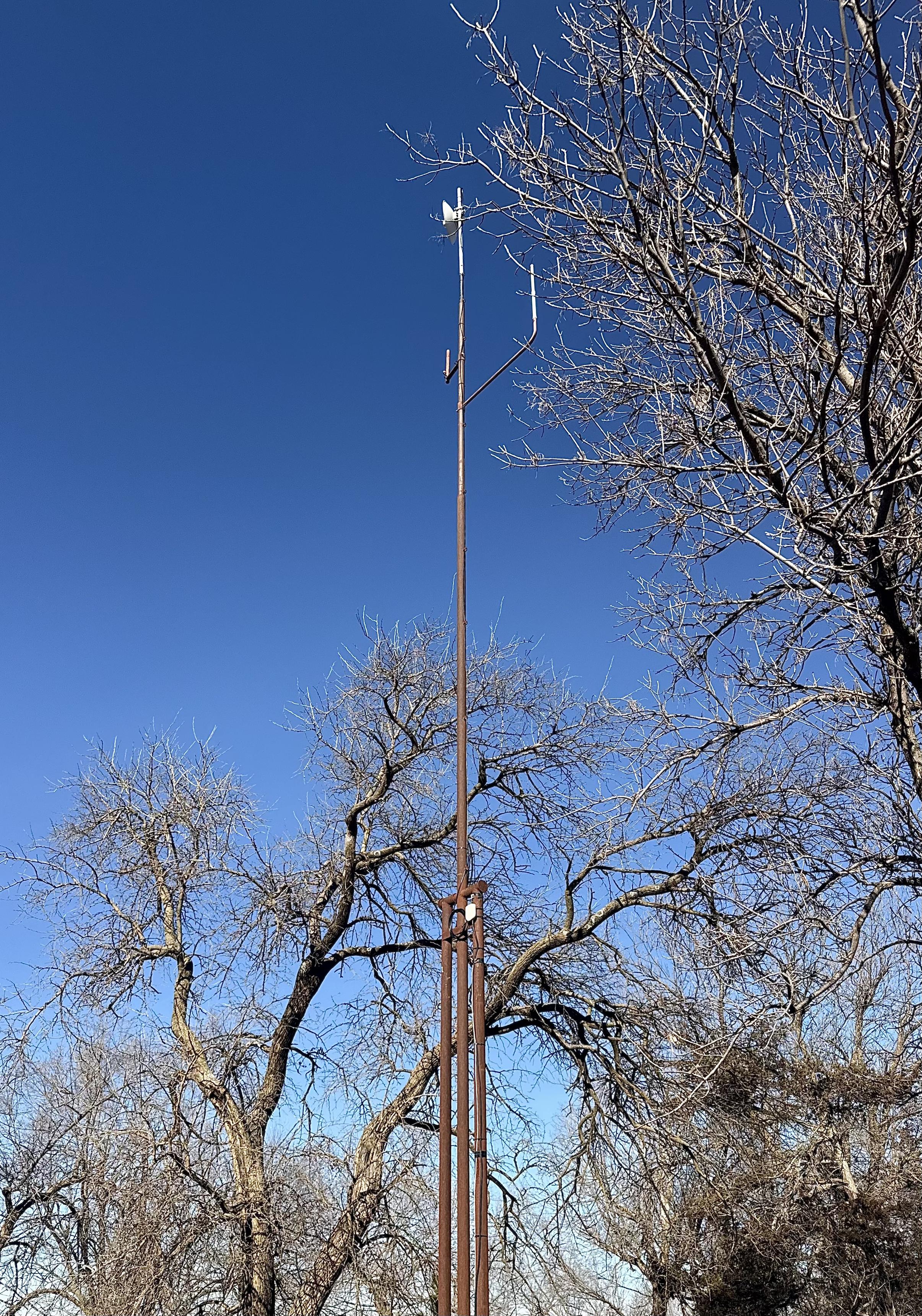 A color, wide-angle photograph in portrait orientation of a slender, rust-colored telecommunications mast standing prominently against a clear, vibrant blue sky, towering above the surrounding canopy of leafless, deciduous trees. The mast is constructed from several vertical pipes that transition into a single, narrow pole as it reaches its full height of 75 feet. The structure appears aged with a weathered, brown finish that helps it blend somewhat with the dormant winter branches. Near the midpoint of the tower, wiring and mounting hardware are visible. At the very peak of the mast, a small, white directional microwave dish is mounted, angled slightly upward to maintain a line-of-sight connection with a distant backbone tower. Positioned just below the primary dish on a cross-arm are two additional vertical omnidirectional antennas to facilitate local signal distribution.