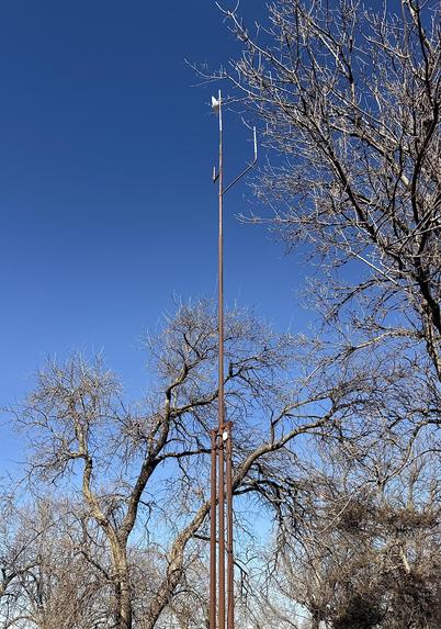 A color, wide-angle photograph in portrait orientation of a slender, rust-colored telecommunications mast standing prominently against a clear, vibrant blue sky, towering above the surrounding canopy of leafless, deciduous trees. The mast is constructed from several vertical pipes that transition into a single, narrow pole as it reaches its full height of 75 feet. The structure appears aged with a weathered, brown finish that helps it blend somewhat with the dormant winter branches. Near the midpoint of the tower, wiring and mounting hardware are visible. At the very peak of the mast, a small, white directional microwave dish is mounted, angled slightly upward to maintain a line-of-sight connection with a distant backbone tower. Positioned just below the primary dish on a cross-arm are two additional vertical omnidirectional antennas to facilitate local signal distribution.