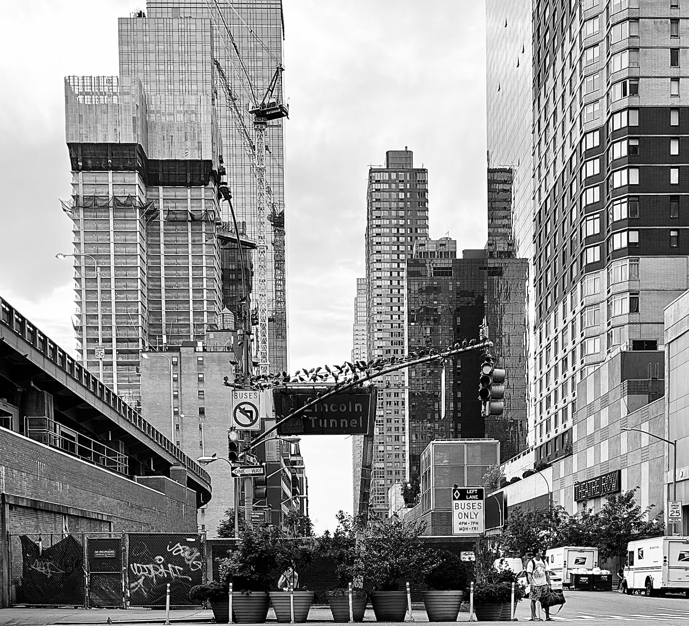 A noir, wide-angle photograph in square aspect ratio that captures the street scene outside of Port Authority in the Hell’s Kitchen neighborhood of Manhattan on a partly cloudy summer afternoon. In the foreground, a row of large, dark circular planters sits behind a temporary chain-link fence covered in graffiti. To the right, a lone pedestrian stands on the street corner waiting for the crosswalk light. On the street there are several parked white United States Postal Service trucks. A prominent traffic signal arm extends across the center of the frame, strikingly lined with a long row of perched pigeons. Behind it, a dark overhead sign marks the entrance to the Lincoln Tunnel, flanked by various street signs, including one for "Theatre Row" and others designating bus-only lanes. The midground and background are dominated by a dense thicket of soaring skyscrapers and construction activity. On the left, a massive building is encased in scaffolding and protective netting, with a large construction crane towering above it. The architectural styles vary from modern glass facades reflecting the overcast sky to older, gridded residential or office towers. To the far left, an elevated roadway leads to the Lincoln Tunnel. The lighting is moody and dramatic, with deep shadows and bright highlights that emphasize the textures of concrete, metal, and glass.