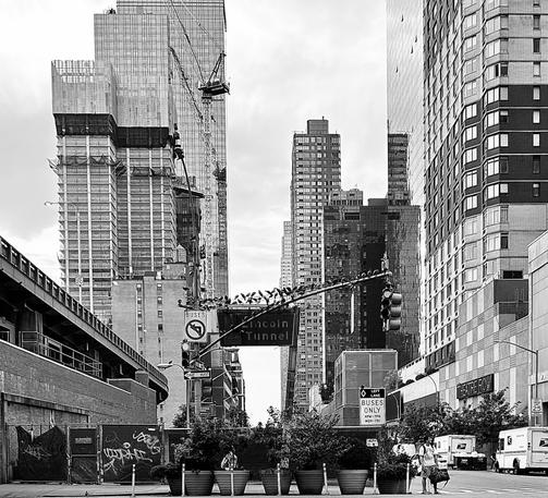 A noir, wide-angle photograph in square aspect ratio that captures the street scene outside of Port Authority in the Hell’s Kitchen neighborhood of Manhattan on a partly cloudy summer afternoon. In the foreground, a row of large, dark circular planters sits behind a temporary chain-link fence covered in graffiti. To the right, a lone pedestrian stands on the street corner waiting for the crosswalk light. On the street there are several parked white United States Postal Service trucks. A prominent traffic signal arm extends across the center of the frame, strikingly lined with a long row of perched pigeons. Behind it, a dark overhead sign marks the entrance to the Lincoln Tunnel, flanked by various street signs, including one for "Theatre Row" and others designating bus-only lanes. The midground and background are dominated by a dense thicket of soaring skyscrapers and construction activity. On the left, a massive building is encased in scaffolding and protective netting, with a large construction crane towering above it. The architectural styles vary from modern glass facades reflecting the overcast sky to older, gridded residential or office towers. To the far left, an elevated roadway leads to the Lincoln Tunnel. The lighting is moody and dramatic, with deep shadows and bright highlights that emphasize the textures of concrete, metal, and glass.