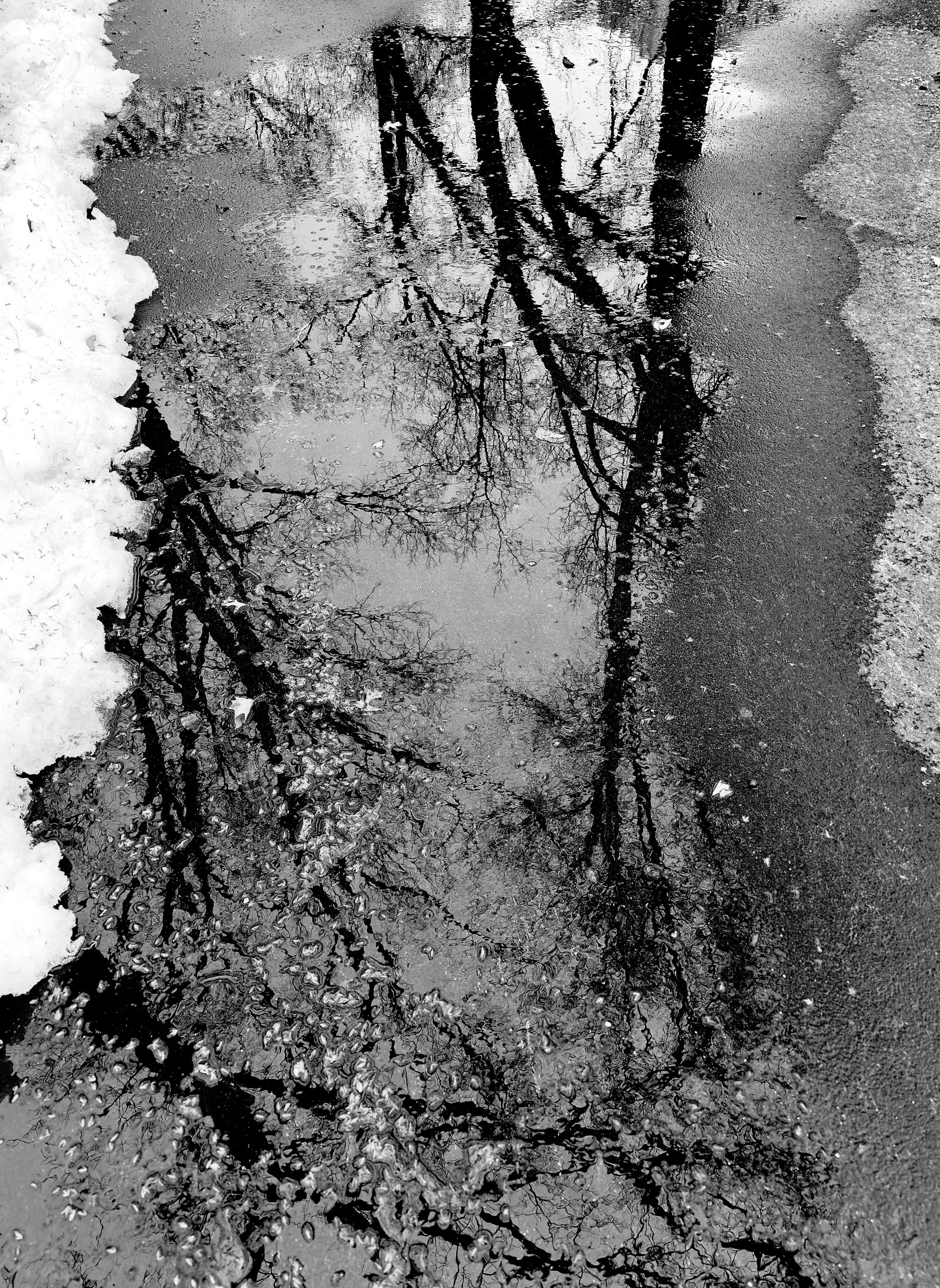 A noir, medium-angle, high-contrast photograph in portrait orientation that captures a view looking down at a large, irregular puddle on a paved sidewalk. To the left, a thick, textured border of crusty white snow is melting into the dark, wet ground. The right side of the frame shows a mix of damp pavement and thin area of dry pavement. The puddle acts as a natural mirror, capturing a clear reflection of bare, winter trees reaching toward a pale, overcast sky over Central Park. Tiny air bubbles and droplets are scattered across the surface of the water, creating a grainy, shimmering effect that breaks up the reflection of the dark, spindly branches. The stark contrast between the bright white snow and the deep, shadowy tones of the wet pavement and reflected trees creates a moody, atmospheric scene.