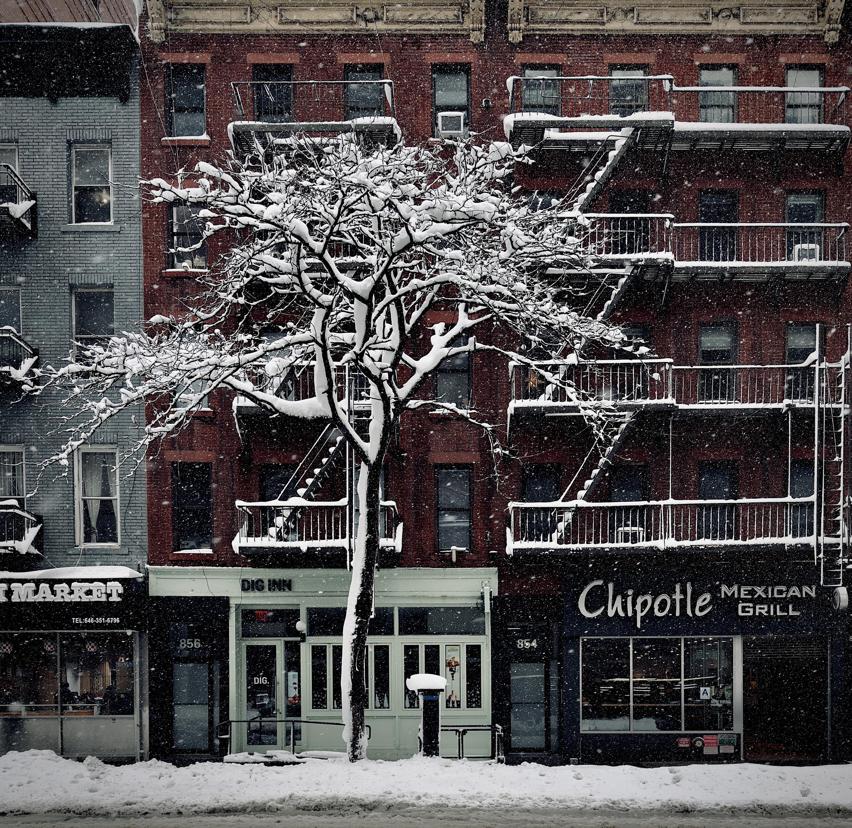 A color, wide-angle photograph in square aspect ratio that captures a snowy winter day along Eighth Avenue in the Hell’s Kitchen neighborhood of Manhattan. The scene features a row of classic multi-story brick apartment buildings. In the foreground, a snow-dusted deciduous tree stands centered, its intricate, bare branches heavily coated in white, creating a stark contrast against the dark red and grey facades behind it. The ground is covered in a thick layer of slushy snow, and individual heavy snowflakes are visible falling through the air, giving the scene a quiet, muffled atmosphere despite the urban setting. The street level of the buildings is occupied by a series of storefronts, including a Chipotle Mexican Grill with its signature signage on the right and a Dig Inn with a pale mint-green facade in the center. To the left, a portion of a local market is visible. Above the shops, the residential floors feature traditional black metal fire escapes zigzagging up the red brick walls, with snow accumulating on every horizontal railing and ledge. To the far left, one building transitions into a muted grey-blue brick, adding a slight color variation to the otherwise warm-toned architectural row. The overcast afternoon sky is evenly illuminating the scene.