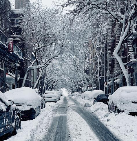 A color, medium-angle photograph in square aspect ratio that captures a narrow Manhattan side street during a heavy snowstorm. Rows of parked cars line both sides of the road, each completely buried under thick, rounded mounds of pristine white snow, with only small portions of dark tires or windows peeking through. In the center of the street, two dark slushy tire tracks cut through the white ground, leading the eye toward a bright, hazy vanishing point in the distance. The architecture consists of classic multi-story brick apartment buildings, their fire escapes and windowsills heavily outlined in white, while a vertical red "PARK" sign on the left provides a lone pop of color against the cool blue and gray tones of the scene. Heavy snowflakes are blowing through the scene. A dense canopy of tall, arching deciduous trees creates a natural cathedral ceiling over the roadway. Every delicate, skeletal branch is meticulously coated in a thick layer of heavy, wet snow, forming an intricate white web against the overcast sky. Leading the viewer to the end of the street where visibility is greatly reduced. The atmosphere is quiet and still, with the soft, diffused light of a winter afternoon casting a tranquil mood over the urban landscape.