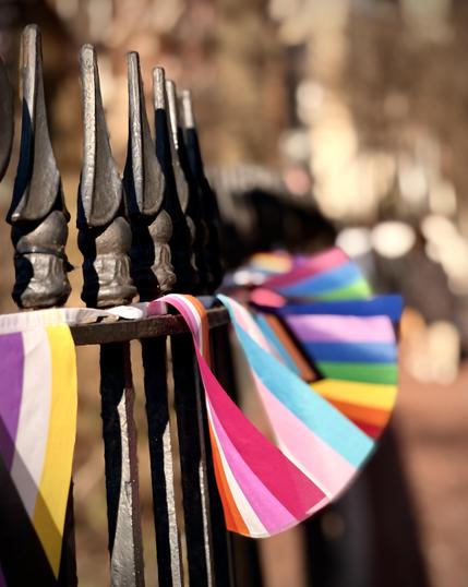A color, medium-angle photograph in portrait orientation that captures a row of black wrought-iron fence posts, topped with sharp, decorative spear-like finials in the Greenwich Village neighborhood of Manhattan. The fence runs diagonally from the upper left toward the lower right. Strung along the top horizontal rail is a series of small, vibrant pride flags that flutter downward. Nonbinary, lesbian, trans, progressive pride, genderfluid, pansexual and a second progressive pride flag. The background is softly blurred, showing a sunlit urban sidewalk bordering a small park with warm, golden-brown tones and the indistinct shapes of buildings and bare trees. The sunlight catches the edges of the metal and the translucent fabric of the flags, creating a bright atmosphere.