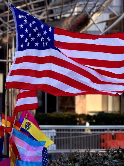 A color, medium-angle photograph in portrait orientation that captures a vibrant street-side display in Columbus Circle, Manhatran. The image is centered on a large American flag caught in a mid-flutter. The flag is positioned in the upper two-thirds of the frame, its red and white stripes rippling with the wind against a backdrop of urban scaffolding and blurred city architecture. The sunlight catches the fabric, highlighting the texture of the material and the bright white of the stars against the deep blue canton. Below the main flag, several smaller handheld flags are clustered together, including additional American flags and a variety of colorful progressive pride and trans flags. The composition uses a shallow depth of field, keeping the flags in sharp focus while the background consisting of a metal railing, green bushes, and the geometric lines of a building remains soft and indistinct. The lighting is bright and directional, suggesting a clear day, which creates high contrast between the saturated colors of the flags and the neutral tones of the city street.