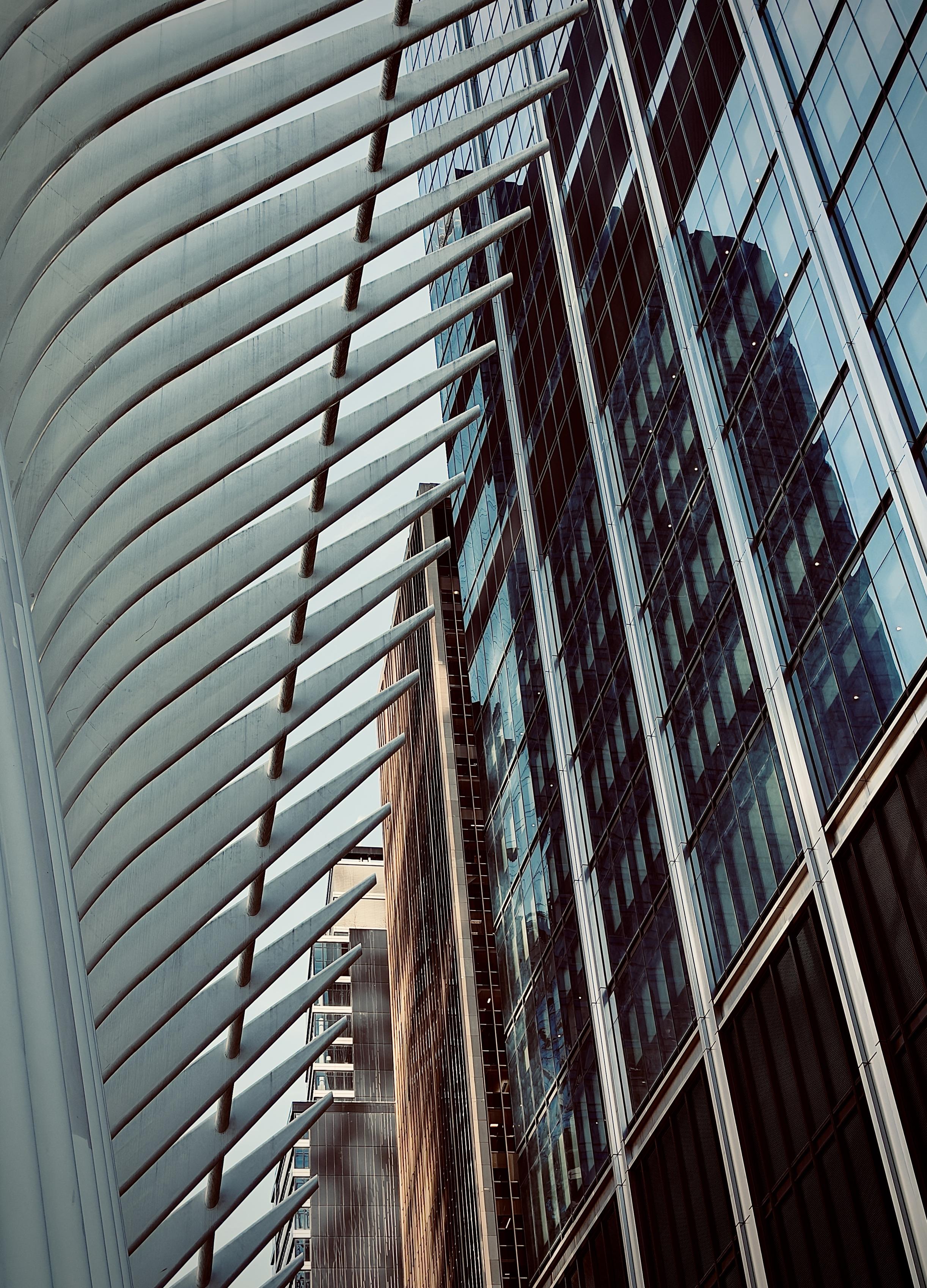 A color, wide-angle photograph in portrait orientation that captures the striking architectural contrast between The Oculus and the sleek, glass-paneled facade of a neighboring skyscraper in Lower Manhattan. On the left side of the frame, the iconic white steel "ribs" of the Oculus curve elegantly toward the top-right corner, resembling the skeletal structure of a wing or a massive ribcage. These white beams are set against a backdrop of deep shadows and the vertical lines of the surrounding buildings, creating a rhythmic pattern of light and dark. The right half of the image is dominated by the reflective blue-grey glass and dark metal framing of a modern high-rise. The sky and adjacent structures are mirrored in the skyscraper's windows, adding layers of geometric complexity to the composition. Between the skeletal white curves and the glass tower, a narrower, tan-colored building with smaller windows is visible, providing a warm textural contrast to the cool tones of the glass and steel. The perspective is shot from a low angle looking up, emphasizing the immense scale and soaring height of the World Trade Center complex.