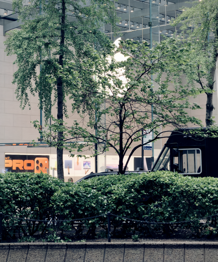A color, wide-angle photograph in portrait orientation that captures a street-level view of the Apple Store on Broadway in Manhattan, framed by dense greenery across the roadway. In the foreground, a thick, dark green hedge runs horizontally across the bottom of the frame, partially obscured by a black metal chain-link fence. Behind the hedge, several deciduous trees with vibrant green leaves reach upward, their branches overlapping to create a natural screen. Through the gaps in the foliage, the store’s minimalist architecture is visible, featuring large, neutral-toned stone blocks and a soaring glass facade. A glowing, white Apple logo is suspended high within the glass atrium. To the left, a large, bright orange advertisement for the iPhone 17 Pro is visible through the glass. A dark brown delivery truck is parked on the right side mid-frame.