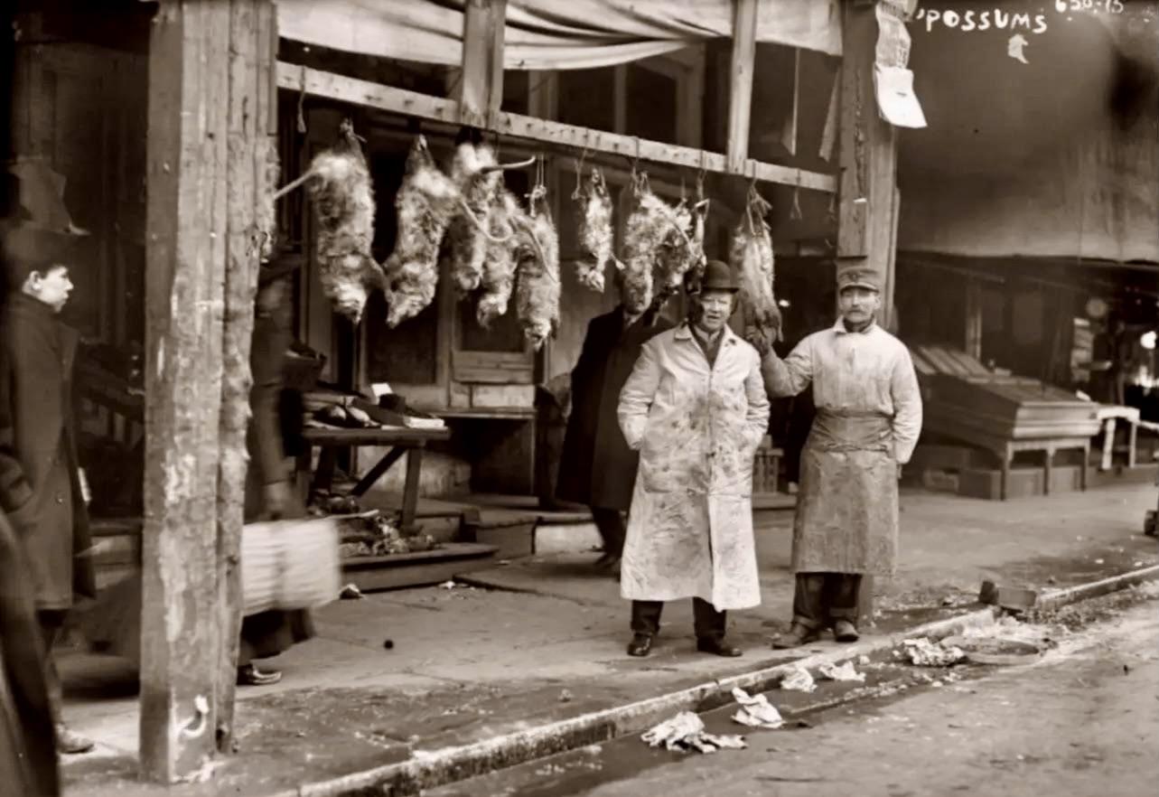 A sepia-toned, wide-angle photograph in landscape orientation, captured in 1915, that depicts the street scene along the Bowery in New York City. The photograph features a market stall specializing in selling opossums. In the foreground, two men stand side-by-side; the man on the left wears a light-colored, blood-stained apron over his coat and a brimmed hat, while the man to his right is dressed in a dark uniform and cap, wearing an apron as well. Behind them, a wooden rack suspended from the storefront’s overhang holds several opossums hanging by their tails, clearly intended for sale. A sign at the top right of the frame explicitly labels the establishment's offerings with the word "OPOSSUMS,". To the far left, a young boy stands observing the scene, partially obscured by a large wooden support beam that frames that side of the image. Another figure, partially blurred, walks past the stall. The ground is littered with scattered debris.