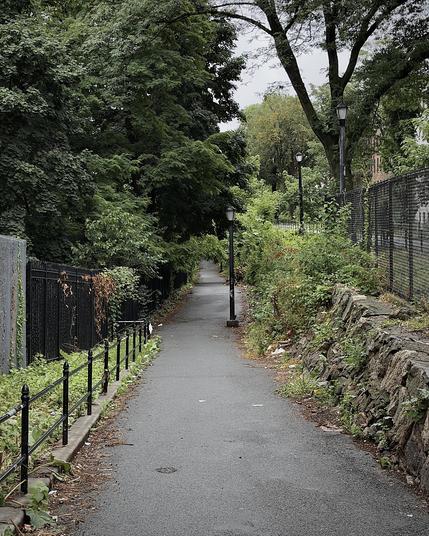 A color, wide-angle photograph in portrait orientation that captures a narrow, paved pedestrian pathway known as the Aqueduct Walk, stretching forward into the distance on a misty morning. The asphalt path appears slightly damp, and it is framed by dense greenery and fencing on both sides. On the left, a low black metal railing separates the walkway from a patch of weeds and a taller black fence, which is partially covered in climbing vines and backed by a thick canopy of mature trees. The heavy foliage casts deep shadows, giving the left side of the path a secluded atmosphere. On the right side of the path, a rough, textured stone retaining wall runs parallel to the walkway, with small plants and weeds growing out of its crevices. Above this stone wall, a sloping embankment is covered in dense bushes, wild grass, and weeds, leading up to a tall chain-link fence. Three classic black lampposts are spaced along the right side of the trail, standing next to each other amidst the greenery. The sky above is overcast and pale, visible only through the gaps of the large tree branches that arch over the pathway.