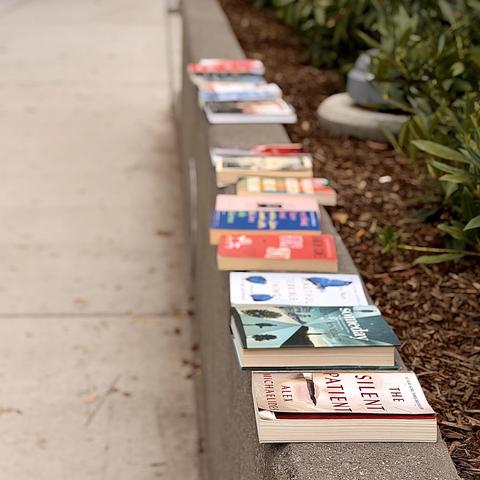 A color, wide-angle photograph in square aspect ratio that captures a row of assorted books that are displayed on a concrete ledge that separates a sidewalk from a garden bed filled with wood mulch and green shrubs. The books are laid out in a single file line, with the closest one, "The Silent Patient" by Alex Michaelides, clearly visible in the foreground. Behind it, several other books with various colorful covers are arranged sequentially, leading the eye toward the distance where the details become increasingly blurred. The perspective is from slightly above, emphasizing the length of the ledge. The natural light of an outdoor setting, with the clean lines of the concrete contrasting with the textured, organic appearance of the garden area to the right, highlighting the books as the central focus of the composition.