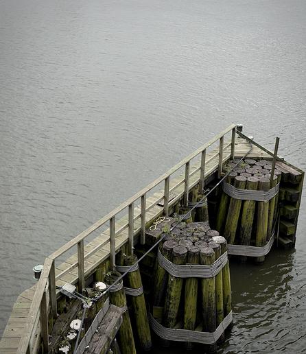 A color, wide-angle photograph in portrait orientation that captures a wooden dock structure extending into the rippling, greyish-green water of the Harlem River in New York City on an overcast afternoon. The dock features a simple wooden railing running along its outer edge, which curves around the structure. The support system for the dock consists of several groupings of thick, cylindrical wooden pilings that are lashed together with thick, light-colored rope. These pilings are covered in green algae and moss, and some small patches of vegetation are visible on the tops of the bundles. The perspective is looking down from the University Heights Bridge, emphasizing the height above the water and the structural details of the dock. A black conduit runs diagonally across the frame, attached to the railing, while a small electrical box is visible where the conduit meets the dock's frame. The water has gentle ripples and highlights.