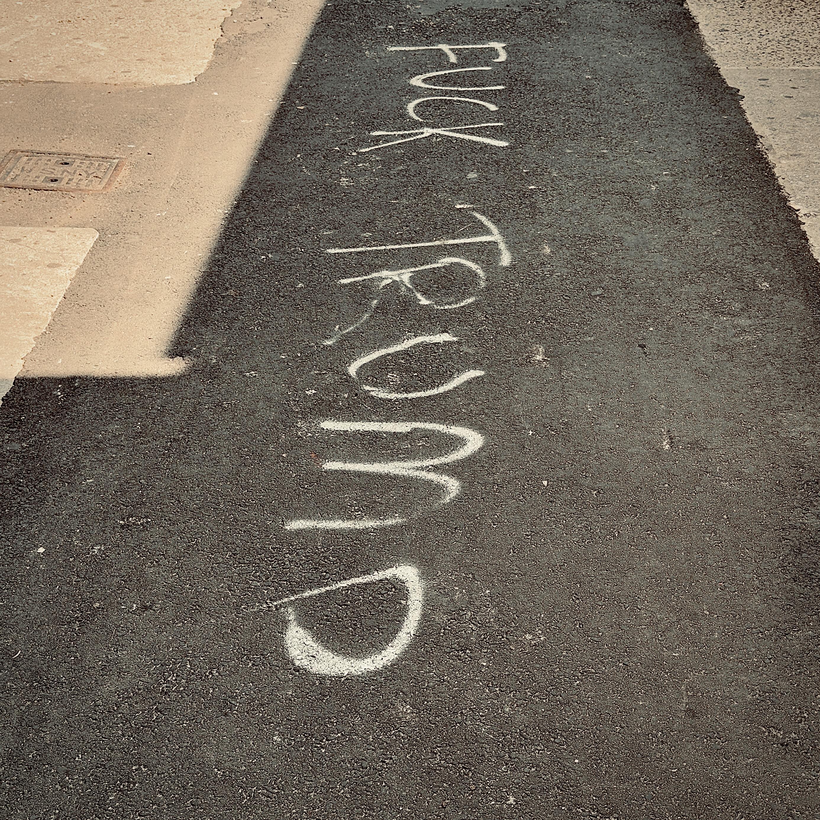 A color, wide-angle photograph in square aspect ratio taken along Troy Avenue in the Crown Heights neighborhood of Brooklyn, New York. An eye-level shot that captures a patch of recently laid, dark black asphalt framed by lighter concrete on either side. The surface is textured and gritty. In the upper left corner, a square metal utility access cover is embedded in the adjacent sidewalk. Painted directly onto the center of the dark asphalt in thin, hand-drawn white lettering is the phrase "FUCK TRUMP." The text is oriented vertically, running along the length of the strip, and appears to have been applied with spray paint, as the lines have a slightly fuzzy and uneven quality. The lighting is bright and even, casting minimal shadows.