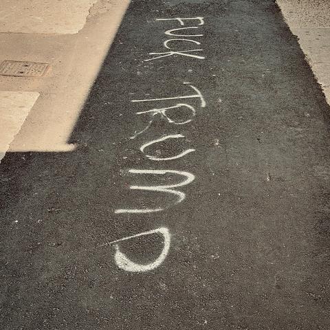 A color, wide-angle photograph in square aspect ratio taken along Troy Avenue in the Crown Heights neighborhood of Brooklyn, New York. An eye-level shot that captures a patch of recently laid, dark black asphalt framed by lighter concrete on either side. The surface is textured and gritty. In the upper left corner, a square metal utility access cover is embedded in the adjacent sidewalk. Painted directly onto the center of the dark asphalt in thin, hand-drawn white lettering is the phrase "FUCK TRUMP." The text is oriented vertically, running along the length of the strip, and appears to have been applied with spray paint, as the lines have a slightly fuzzy and uneven quality. The lighting is bright and even, casting minimal shadows.