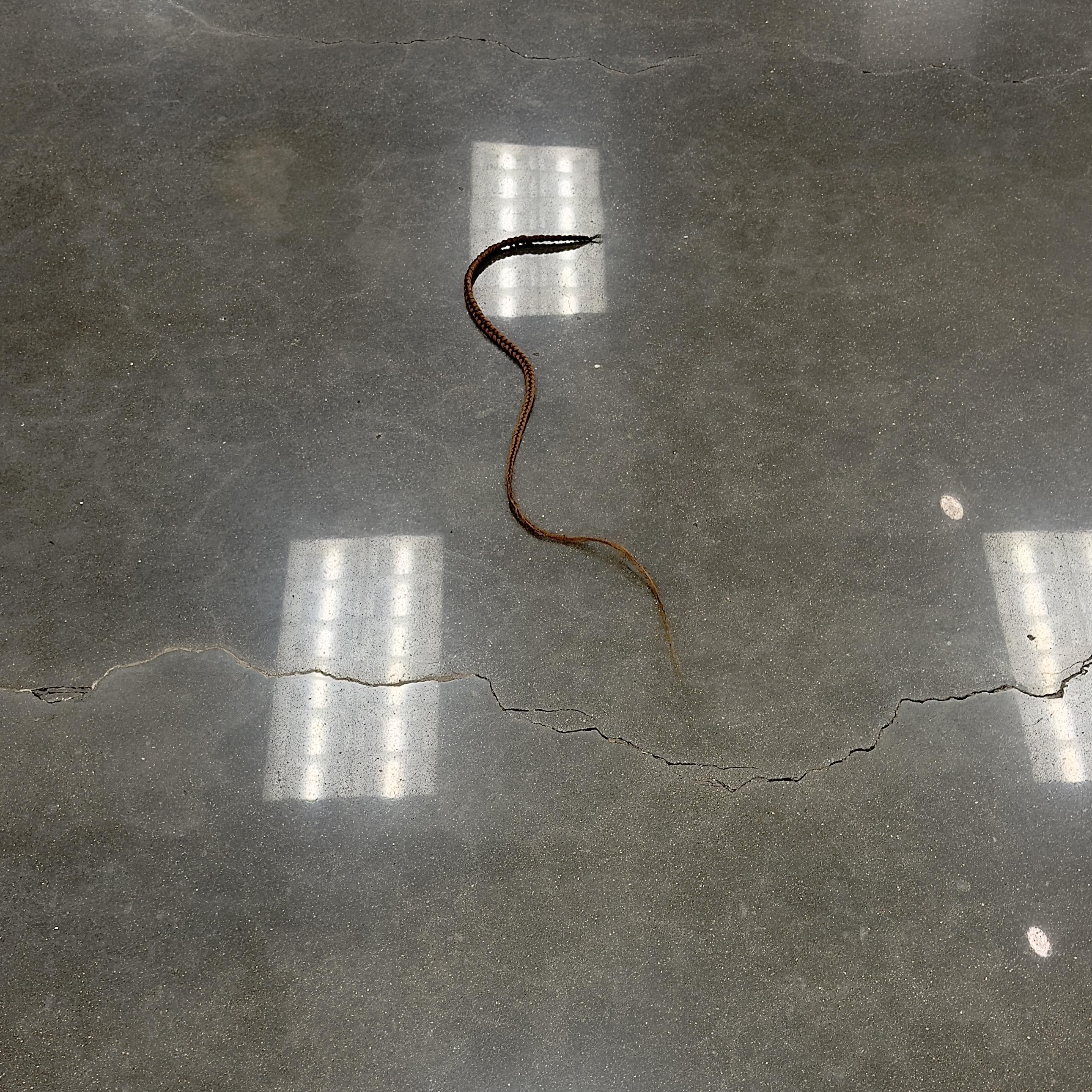 A color, medium-angle photograph in square aspect ratio that captures a long, thin, single synthetic hair braid in a warm, reddish-brown auburn hue lying discarded on a polished grey concrete floor. The braid forms a gentle, serpentine "S" shape, tapering to a fine, wispy point at one end. The concrete surface is marked by a prominent, dark horizontal crack that runs across the lower portion of the frame, and the polished floor reflects the bright, rectangular light fixtures from above as blurred, glowing patches.