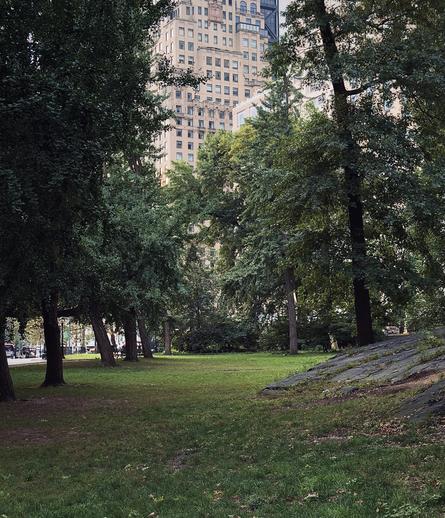 A color, wide-angle photograph in portrait or orientation that captures a serene, shaded section of Central Park in the early morning daylight. The foreground consists of a vibrant green lawn that stretches from the bottom edge towards the center, interspersed with patches of bare earth and fallen leaves. On the right, a large, sloped rock formation rises gently out of the grass, partially covered with sparse weeds and moss. The entire scene is bathed in the soft, cool light of dawn, casting gentle shadows across the scene. Dense clusters of mature green trees frame the composition on the left, right, and background, their heavy foliage partially obscuring the space. Through a central gap in the canopy, a tall, ornate architectural stone and masonry skyscraper tower is visible in the distance, its facade featuring symmetrical rows of multi-paned windows. The outer edges of the park open up slightly on the left, hinting at a perimeter road and the cityscape beyond the tree line under a clear sky.
