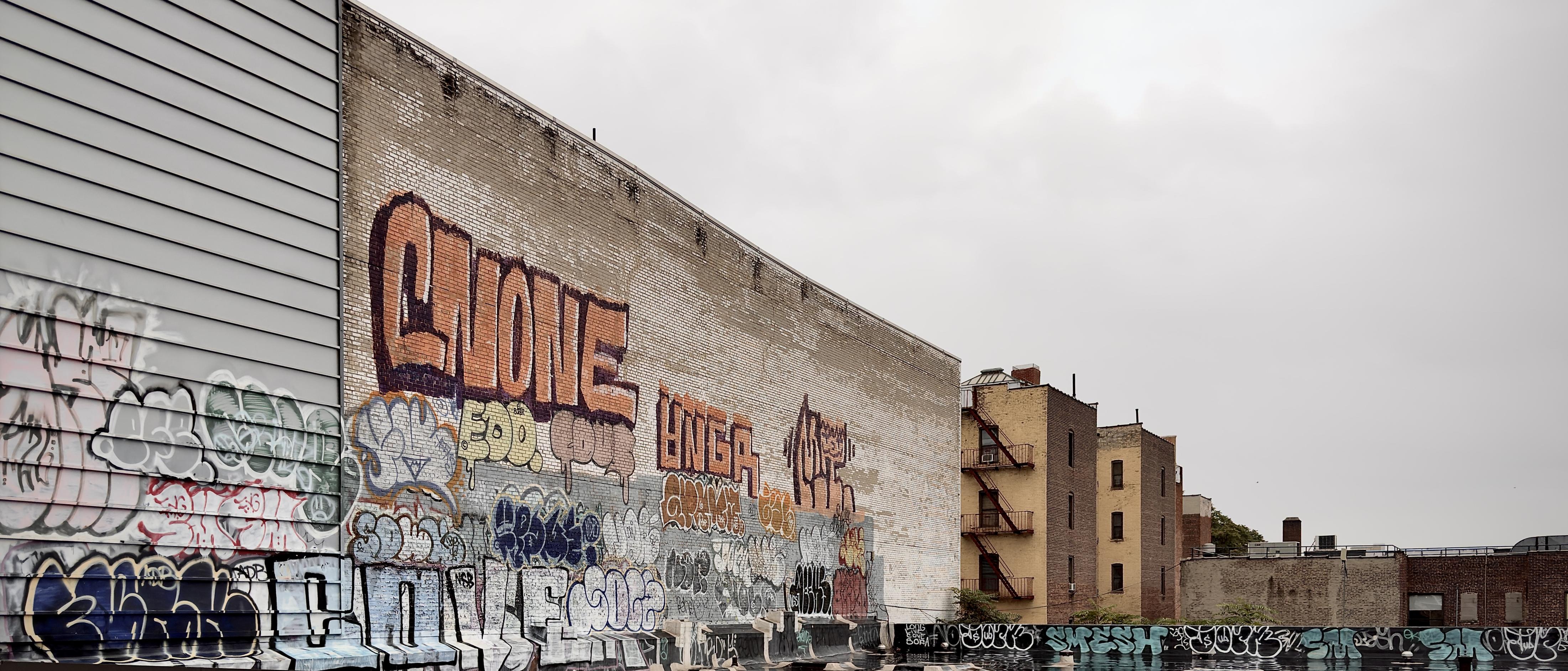 A color, wide-angle photograph in landscape orientation that captures a gritty, elevated view of urban building facades along the elevated 4 train line in the Bronx. The scene is dominated by a large, windowless, pale brick wall stretching across the center, which serves as a massive canvas for dense layers of graffiti. Near the upper center, a prominent tag features thick orange letters, reading "CNONE", while the lower half of the wall is heavily packed with a chaotic mix of smaller, overlapping tags in many colors. To the left, a section of an adjacent building clad in light gray horizontal siding is similarly covered in multi-colored graffiti tags. To the right of the main wall, the background reveals taller, classic New York apartment buildings constructed of tan and brown brick, with metal fire escapes zig-zagging down their sides. The bottom edge of the frame features a dark, flat rooftop which is also covered in continuous graffiti lettering. Above the entire cityscape, the sky is a flat, pale gray, casting a soft, diffused light.