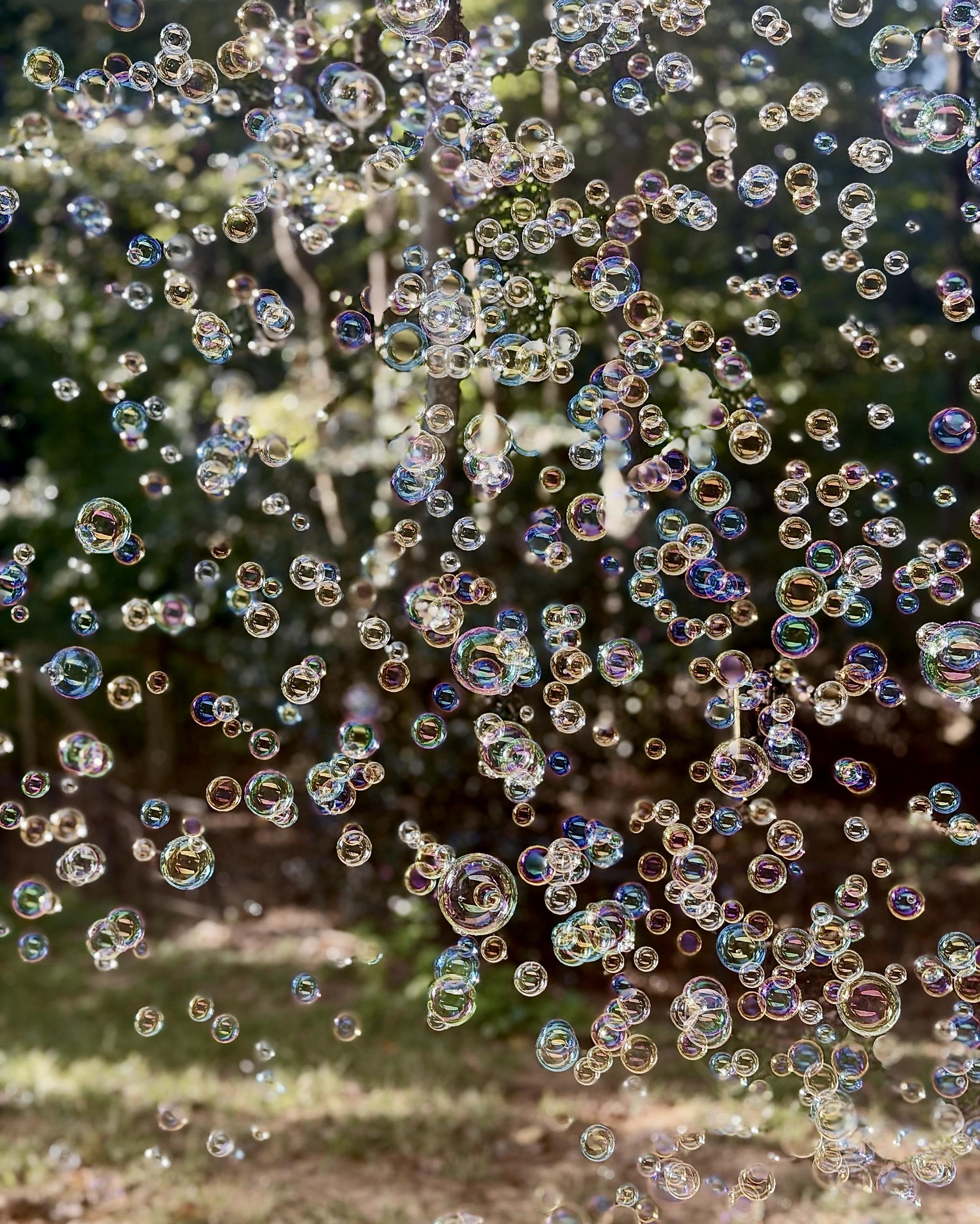 A color, wide-angle photograph in portrait orientation that captures a dense cascade of countless translucent soap bubbles floating through the air, completely filling the frame against an outdoor park backdrop. The bubbles vary widely in size, from tiny droplets to large, spherical orbs, overlapping and clustering together in mid-air. Their thin, shimmering surfaces catch the light, creating a vibrant display of iridescent rainbow colors, highlights, and reflections across every single bubble. Behind the floating cluster, a lush park setting is softly blurred, revealing hints of deep green foliage, tree trunks, and dappled sunlight filtering through the canopy. The ground below is dimly visible with patches of grass and earth, while the bright lighting illuminates the upper and central clusters of bubbles, making them stand out sharply against the natural, out-of-focus background.