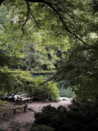 A color, wide-angle photograph in portrait orientation that captures a tranquil view of Central Park framed by lush, vibrant greenery. Large, dark tree branches stretch across the top of the frame, creating a natural canopy of light and dark green leaves that filters the morning light. Below this overhead archway, dense foliage and dense bushes blanket the landscape in various rich shades of green, giving the scene a secluded and peaceful atmosphere. A quiet dirt path winds through the foreground, flanked by low, rustic wooden fences on either side. To the left of the path, a weathered wooden bench with a curved backrest sits invitingly beneath the trees, facing toward The Pond at Central Park. In the background, a calm pond or stream reflects the surrounding greenery, with soft sunlight gently illuminating patches of the water and the distant shore.