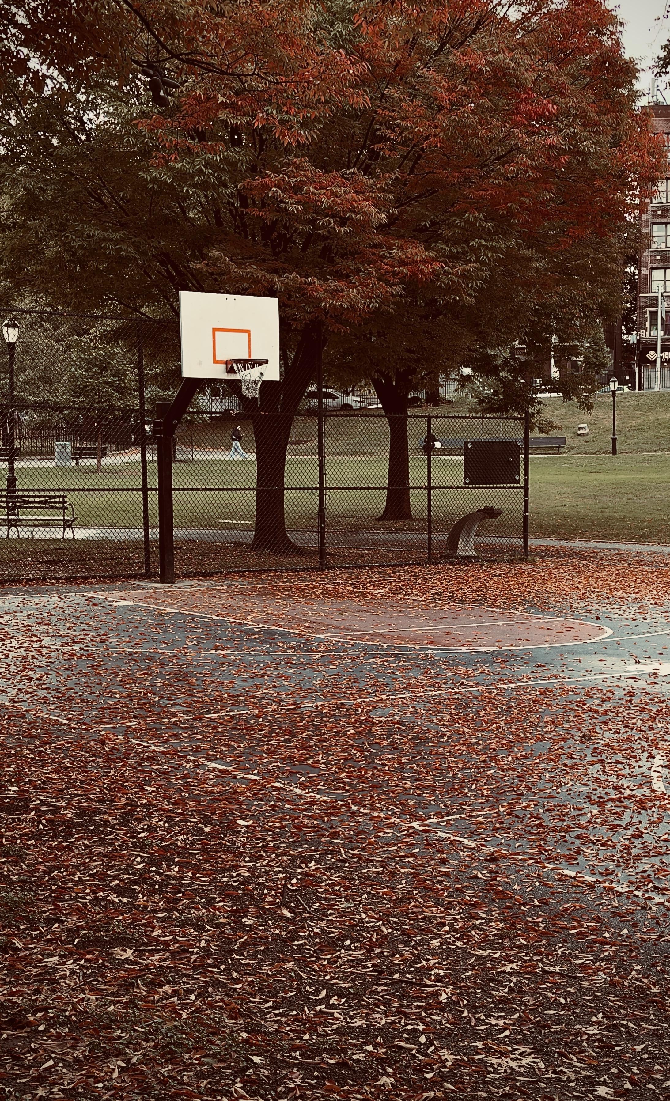 A color, wide-angle photograph in portrait orientation that captures an outdoor basketball court in Manhattan, heavily covered in reddish-brown fallen autumn leaves. In the foreground and midground, the dark, painted surface of the asphalt court is visible beneath a dense, scattered blanket of dry foliage. White painted court lines and a reddish key area peek through the leaves. Towards the left, a basketball hoop with a plain white rectangular backboard, red inner square outline, and white net sits atop a black support pole. In the background behind a chain-link fence bordering the court, large trees display rich autumnal colors, with canopy leaves ranging from deep red and orange at the top to dark green below. A grassy park area extends behind the fencing, featuring park benches, a paved pathway, and a classic black street lamp post. In the far distance, urban buildings and trees frame the park under a soft, overcast sky, giving the entire scene a serene, autumnal mood.