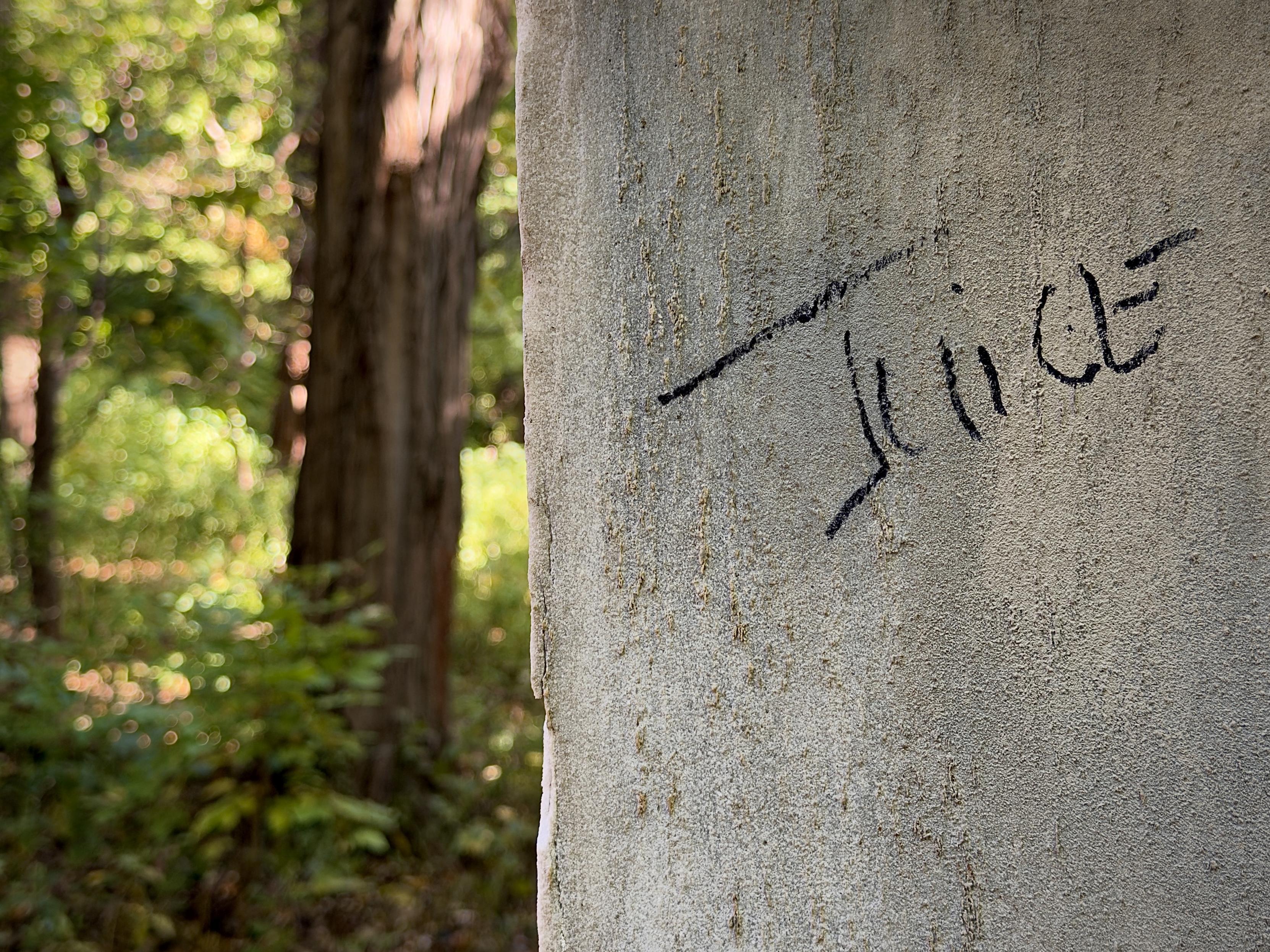 A color, wide-angle photograph in landscape orientation that captures the weathered vertical edge and textured surface of a light-colored stone pillar standing in Van Cortlandt Park, the Bronx. Marked in black paint is a hand-drawn graffiti tag that reads "Juice" in all-caps lettering. The surface has a rough, pitted texture with subtle brown specks and age marks along the stone's corner. The right two-thirds of the frame are occupied by the stone surface, while the left third reveals a soft-focus woodland background. A dark tree trunk stands immediately behind the pillar, surrounded by lush green foliage and sunlit leaves that blur into circular bokeh spots. Bright, natural sunlight illuminates the side of the stone, creating a strong contrast between the clear text on the pillar and the soft, organic textures of the surrounding forest.