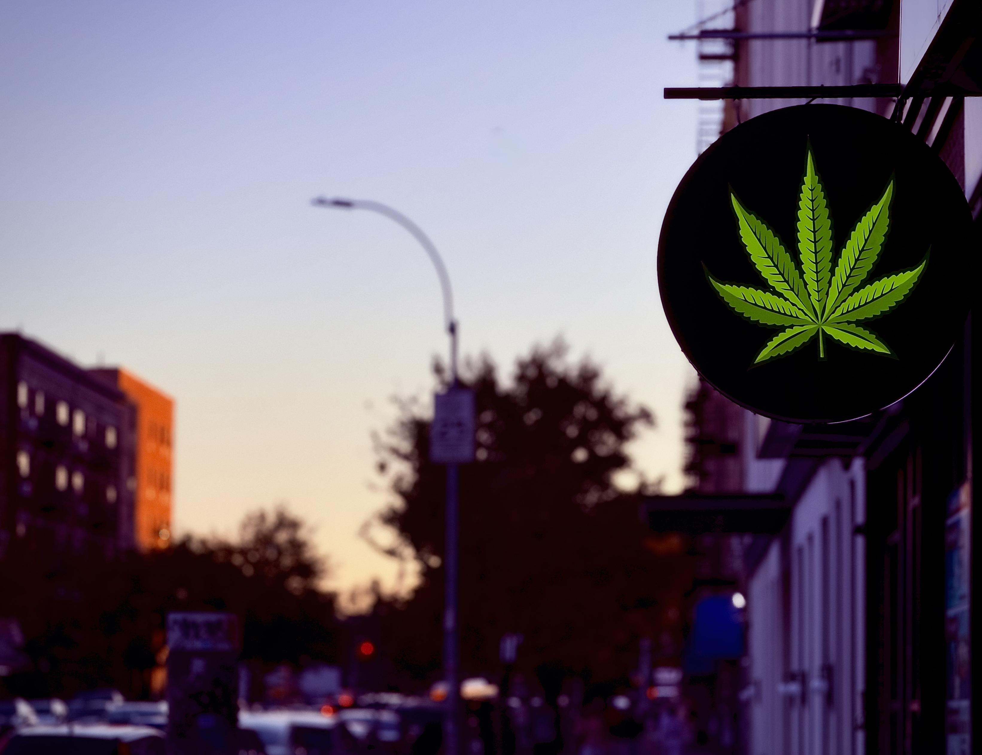 A color, wide-angle photograph in landscape orientation that captures an urban street scene along Boston Road in the Bronx during dusk. Prominently featured in the upper-right foreground is a dark circular hanging storefront sign displaying a sharp, bright green cannabis leaf logo. The sign projects outward from the building facade, drawing immediate focus against the softer background. Below and behind the sign, the shadowed, multi-story storefront stretches into the right side of the frame with deep purple and indigo tones. In the background, the soft gradient sky transitions from a warm golden orange near the horizon to a cool, dusky pale blue overhead. A tall, curved streetlamp arches over the center of the road, standing amidst shadowy, out-of-focus trees and urban street signs. On the far left, a brick apartment building catches the warm glow of the rising or setting sun, while blurred city traffic and soft red taillights line the street below, evoking a late evening vibe.
